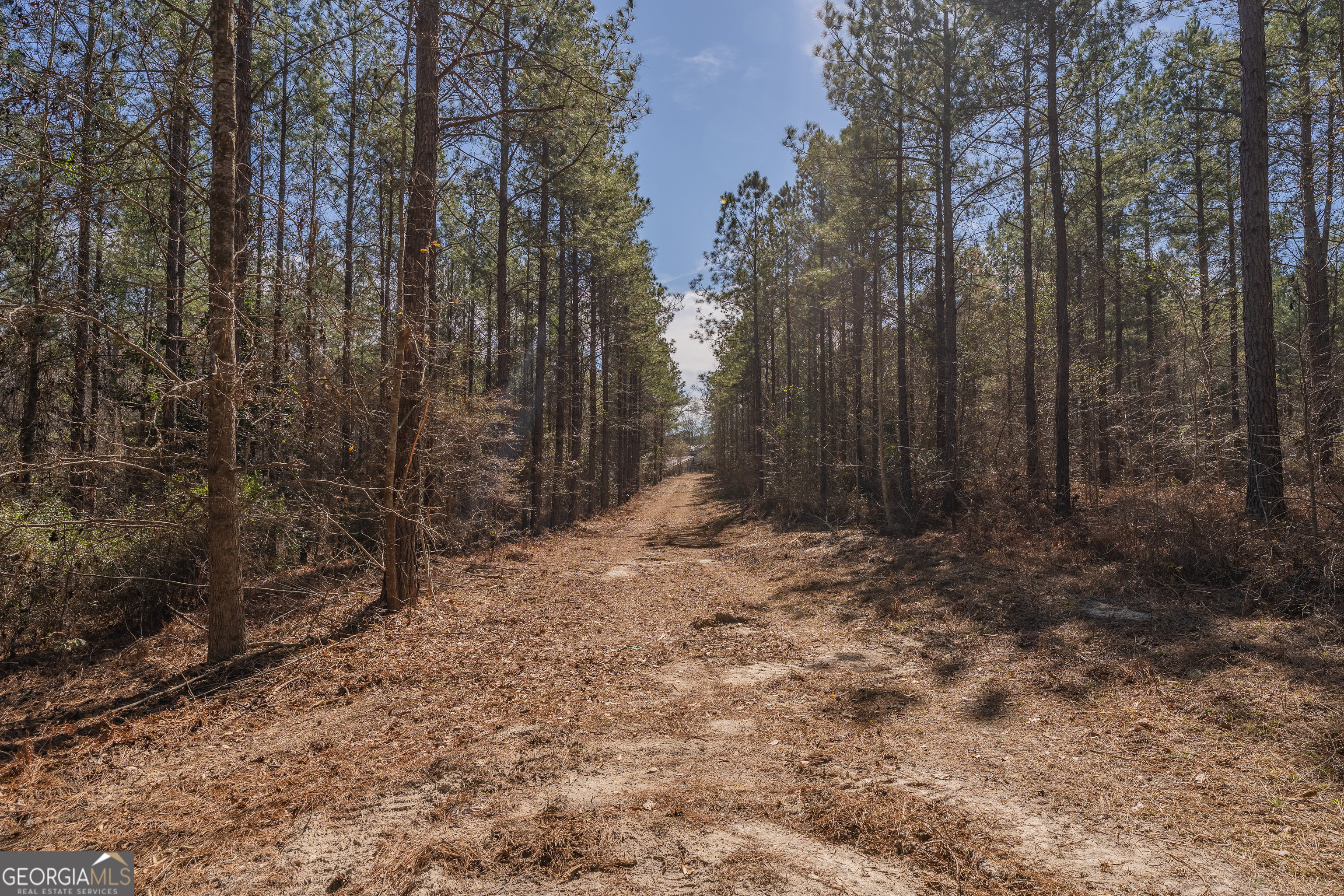 Lot 7 Golf Course Road Eastman GA 31023