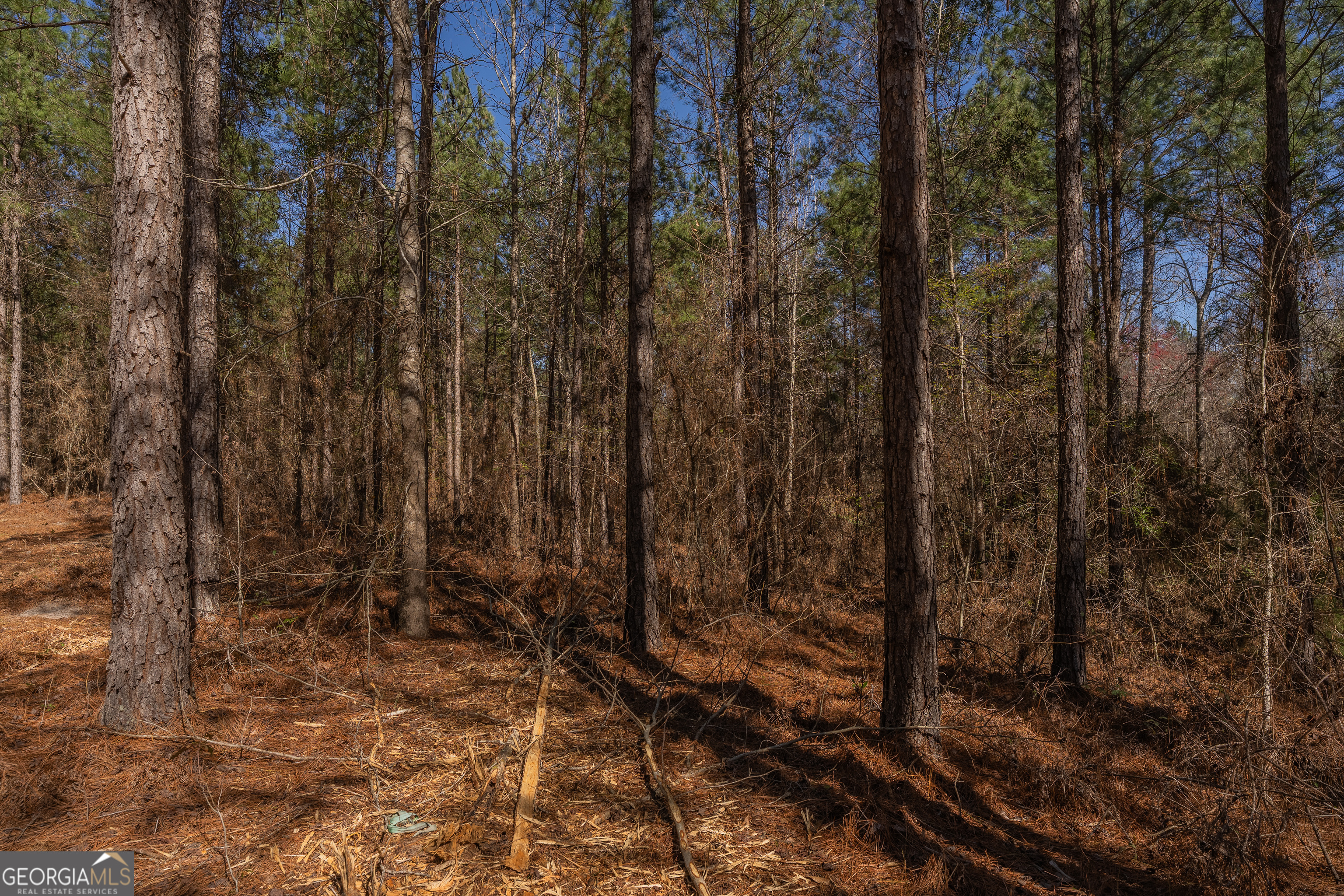 Lot 7 Golf Course Road Eastman GA 31023