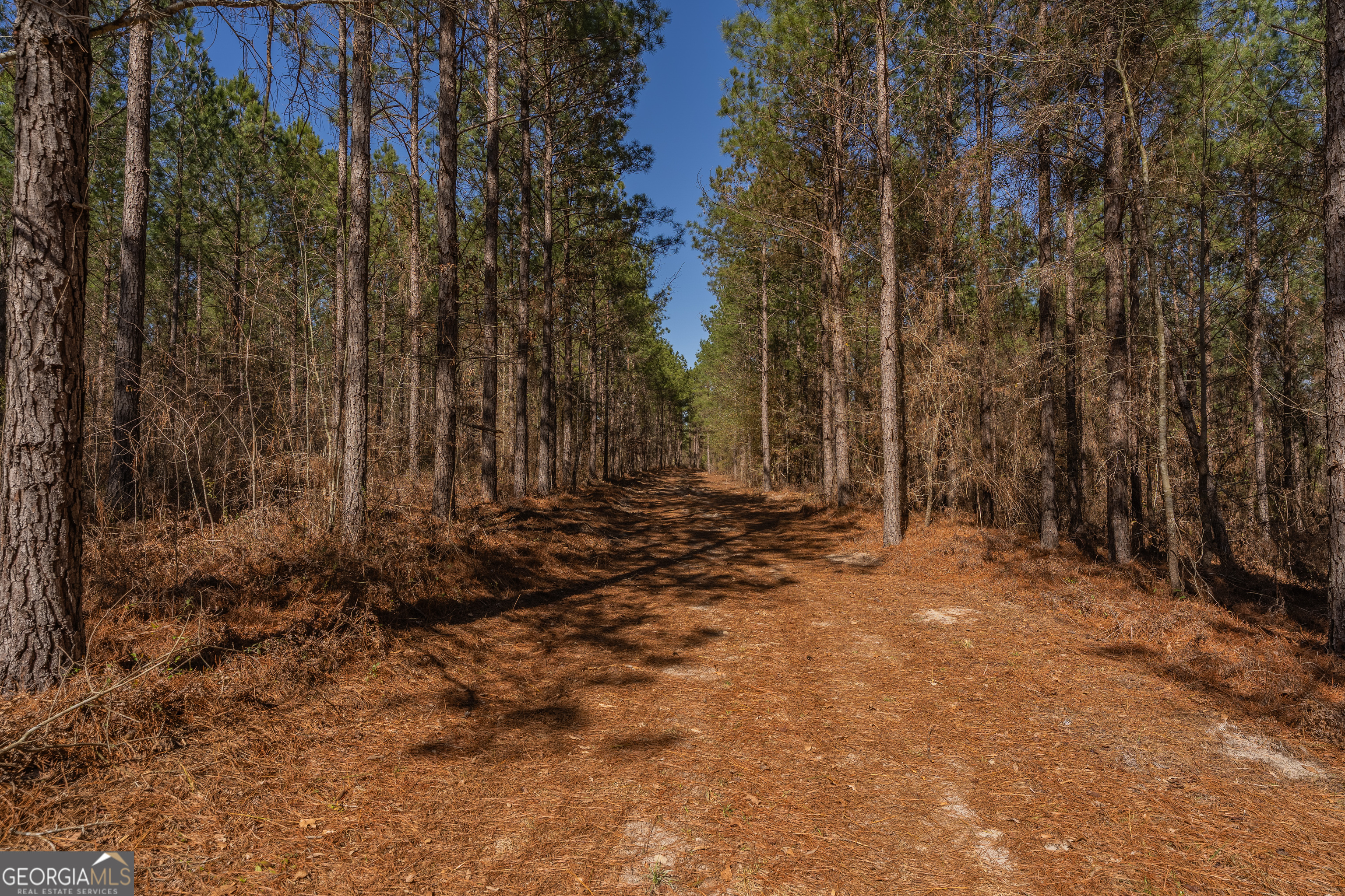 Lot 7 Golf Course Road Eastman GA 31023