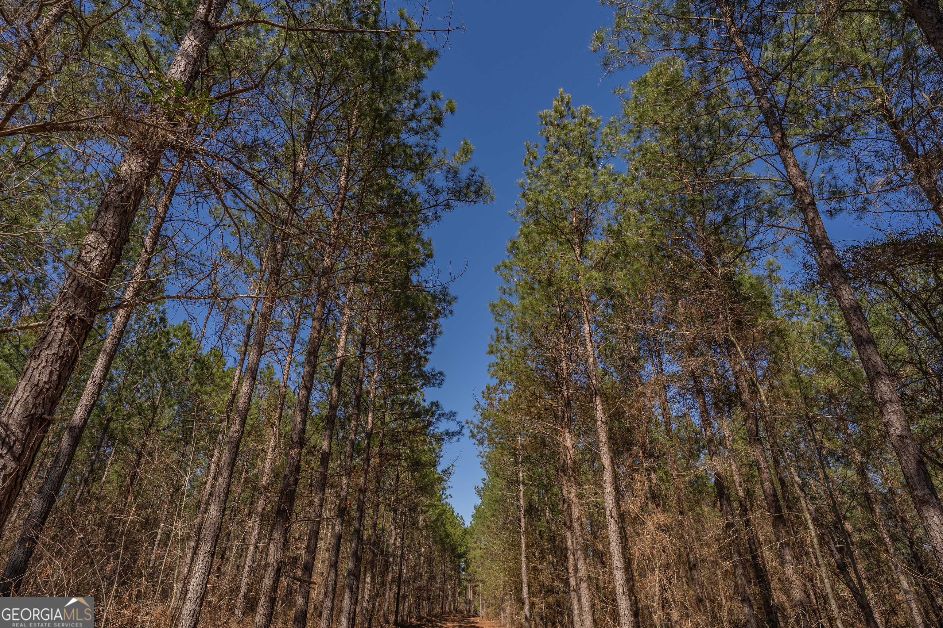 Lot 7 Golf Course Road Eastman GA 31023