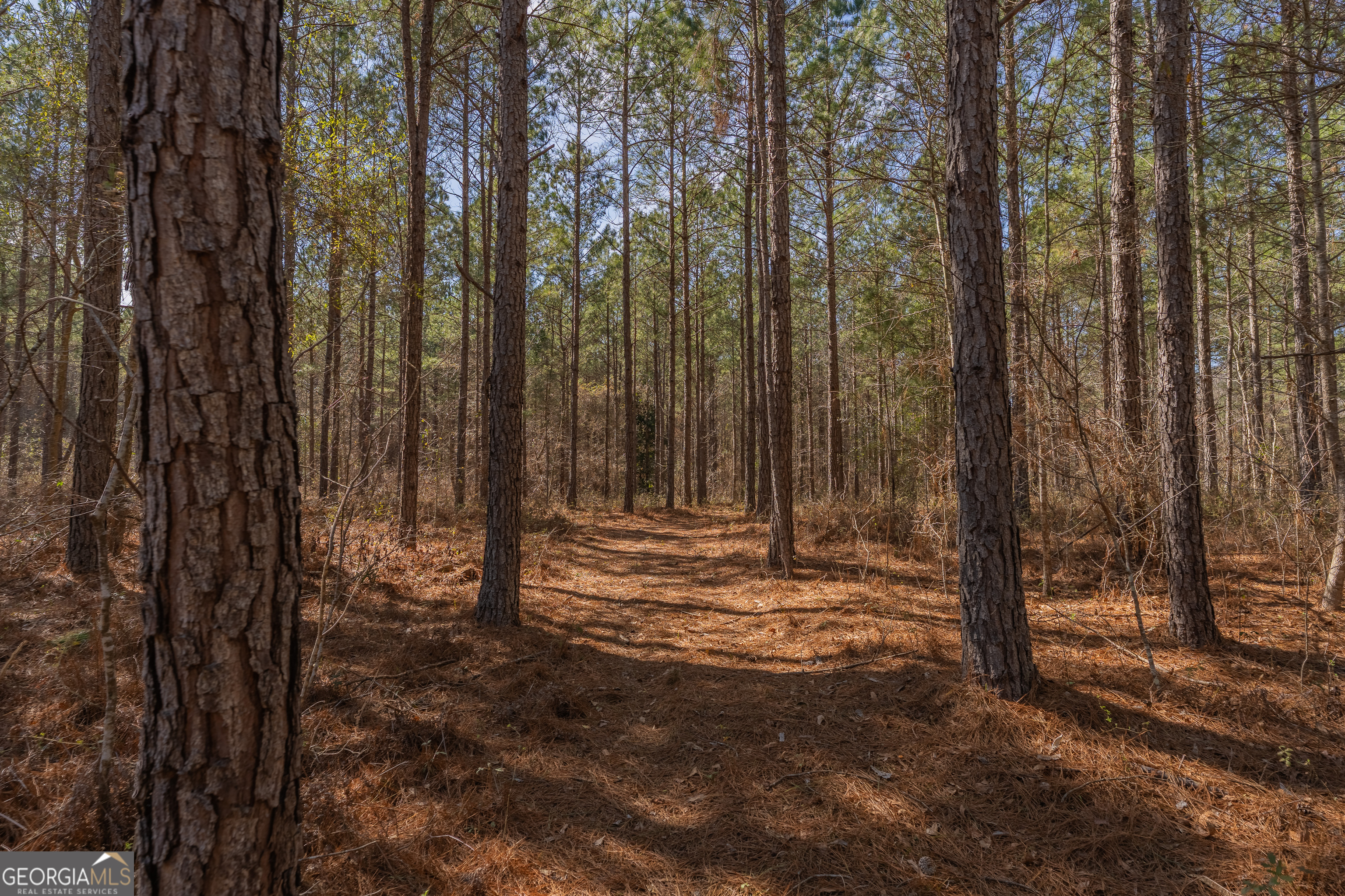 Lot 7 Golf Course Road Eastman GA 31023