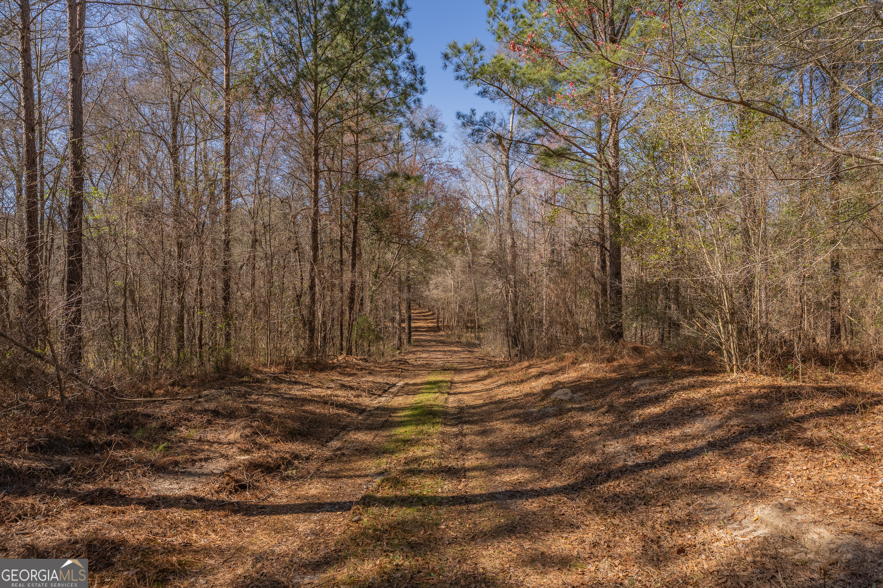 Lot 7 Golf Course Road Eastman GA 31023