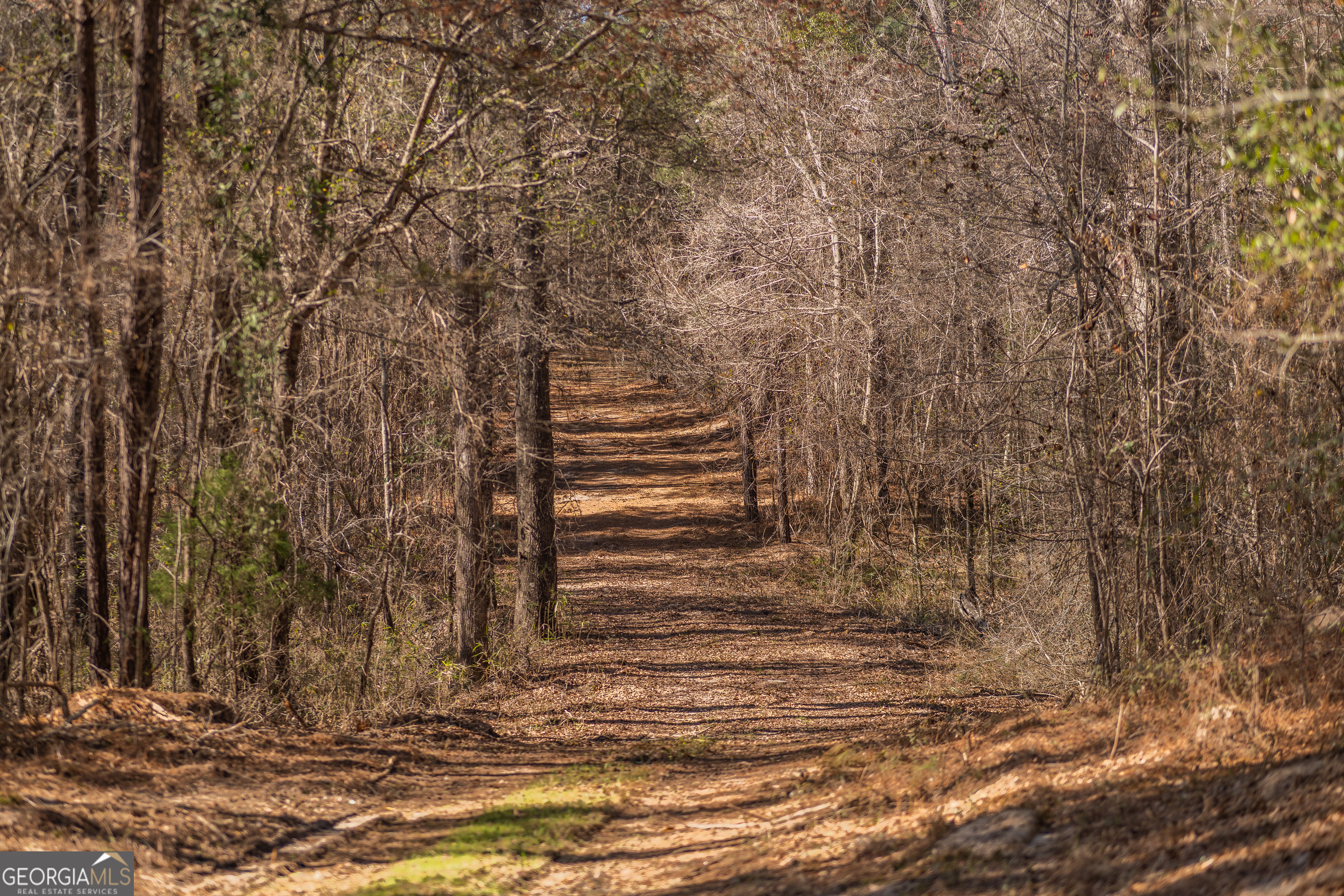 Lot 7 Golf Course Road Eastman GA 31023