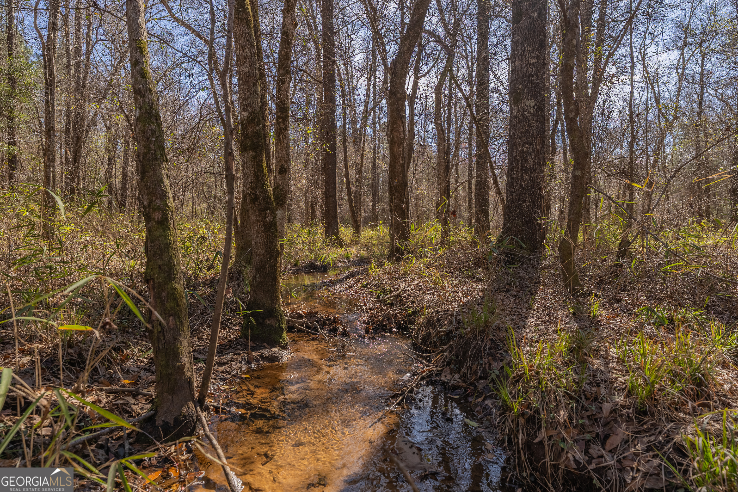 Lot 7 Golf Course Road Eastman GA 31023