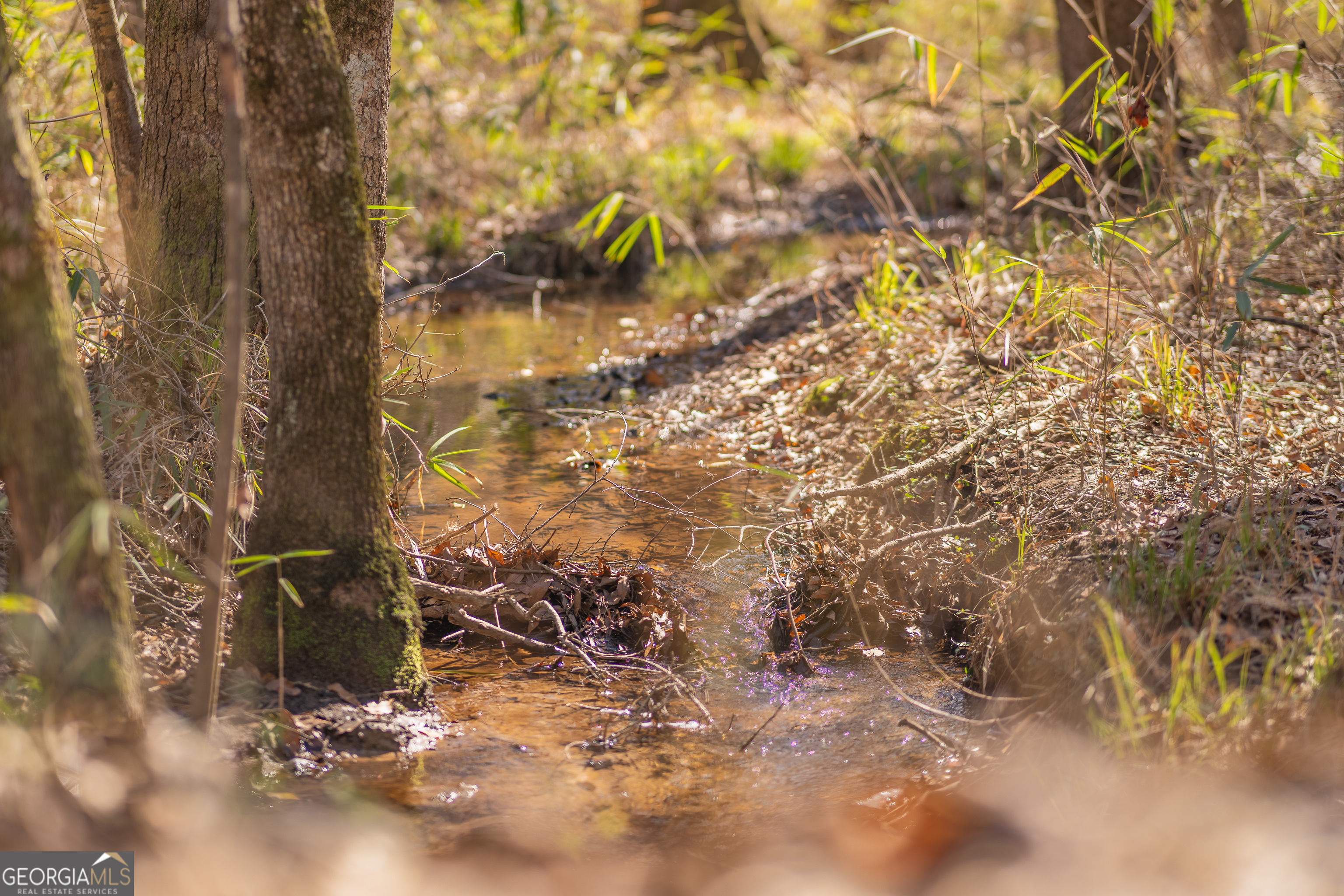 Lot 7 Golf Course Road Eastman GA 31023
