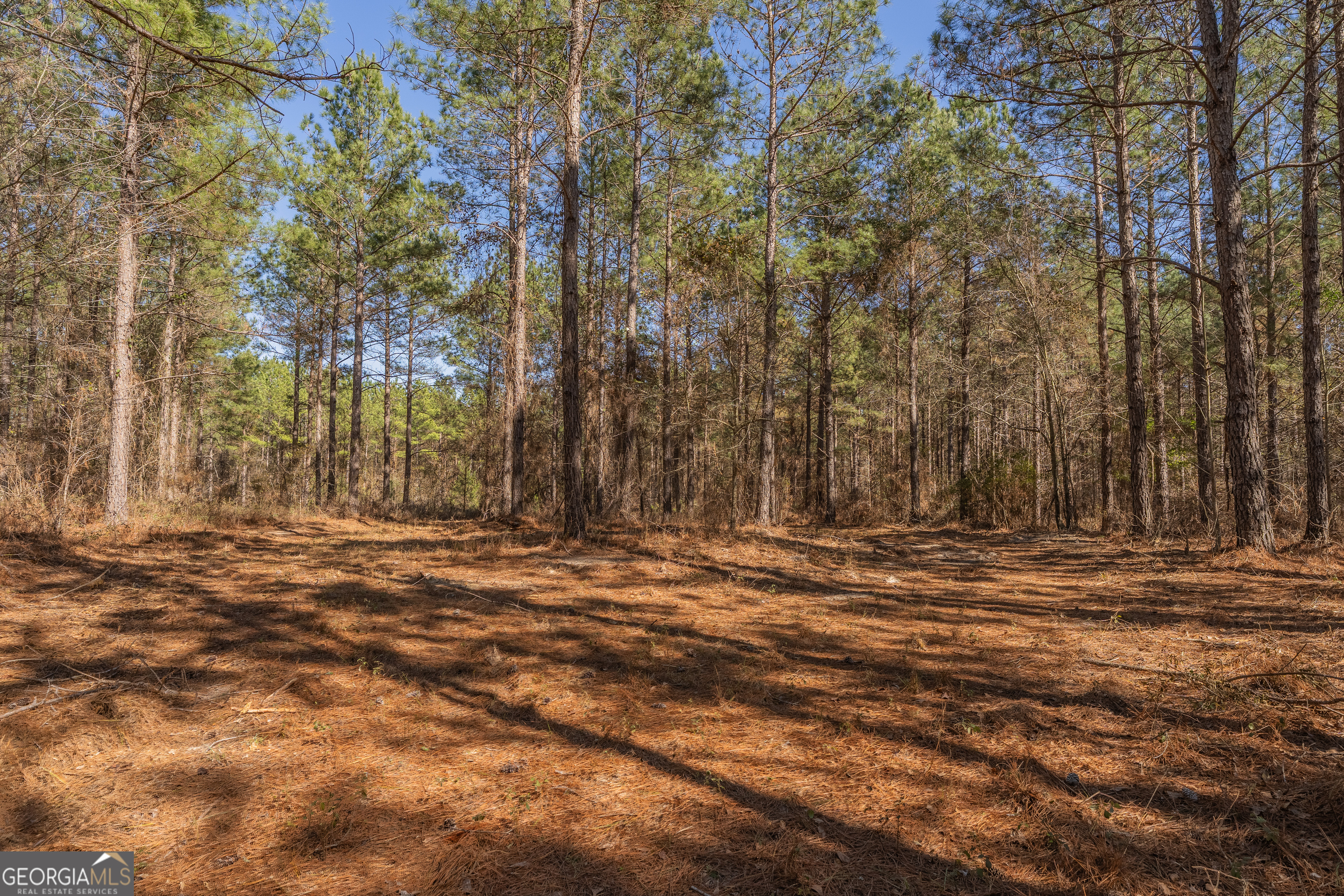 Lot 7 Golf Course Road Eastman GA 31023