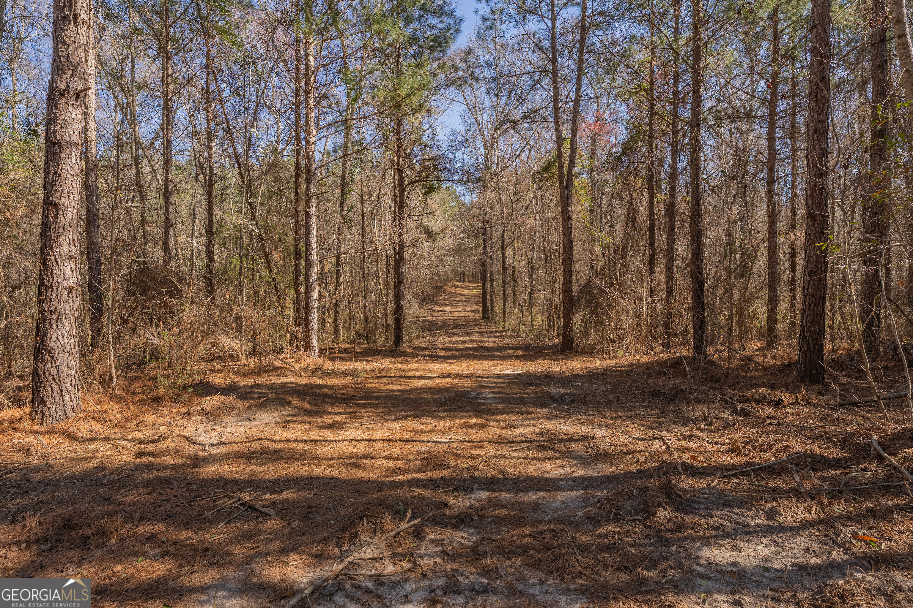 Lot 7 Golf Course Road Eastman GA 31023