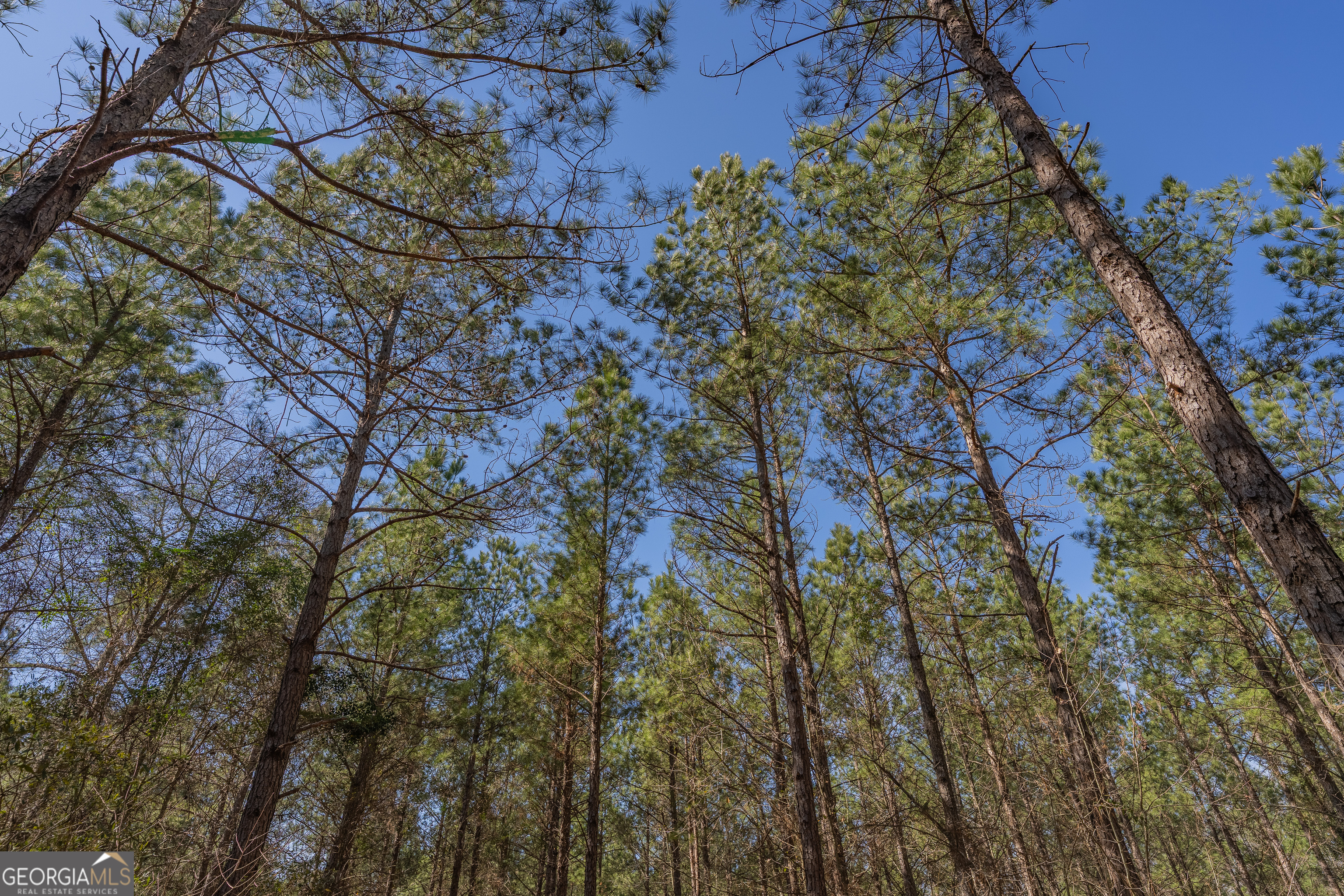 Lot 7 Golf Course Road Eastman GA 31023