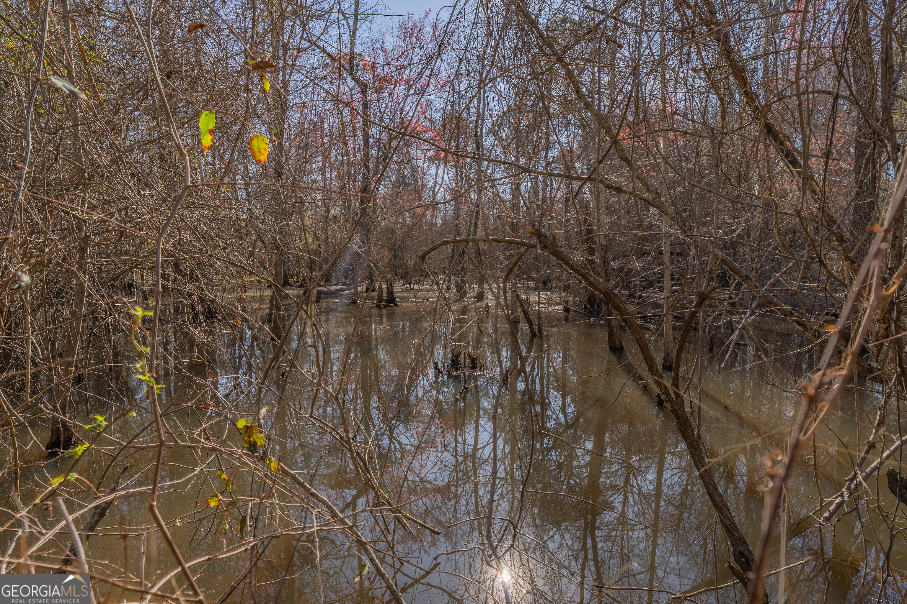 Lot 7 Golf Course Road Eastman GA 31023