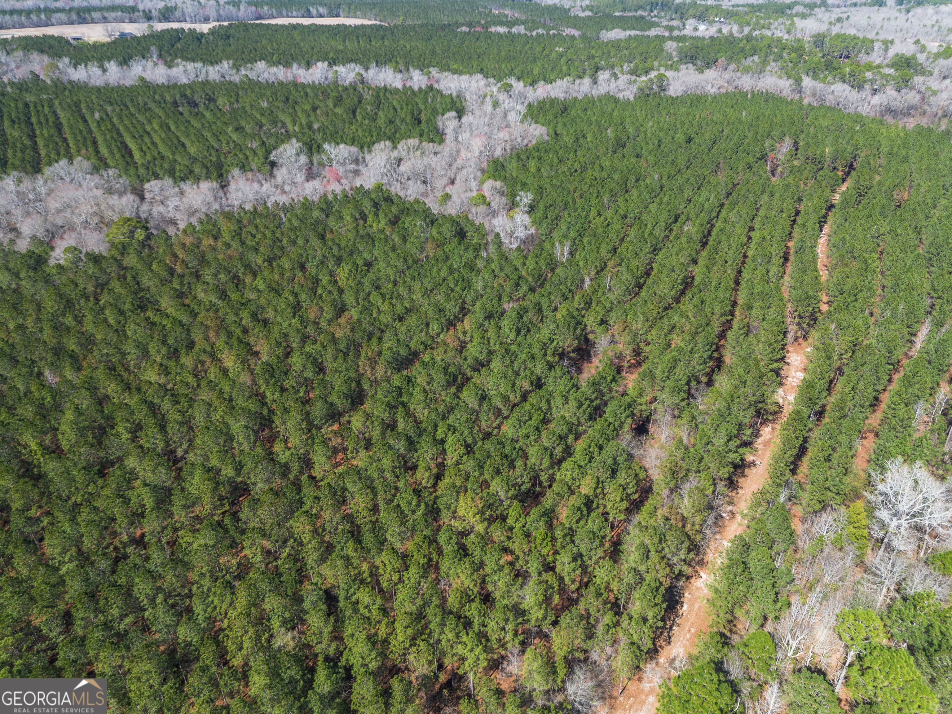 Lot 7 Golf Course Road Eastman GA 31023