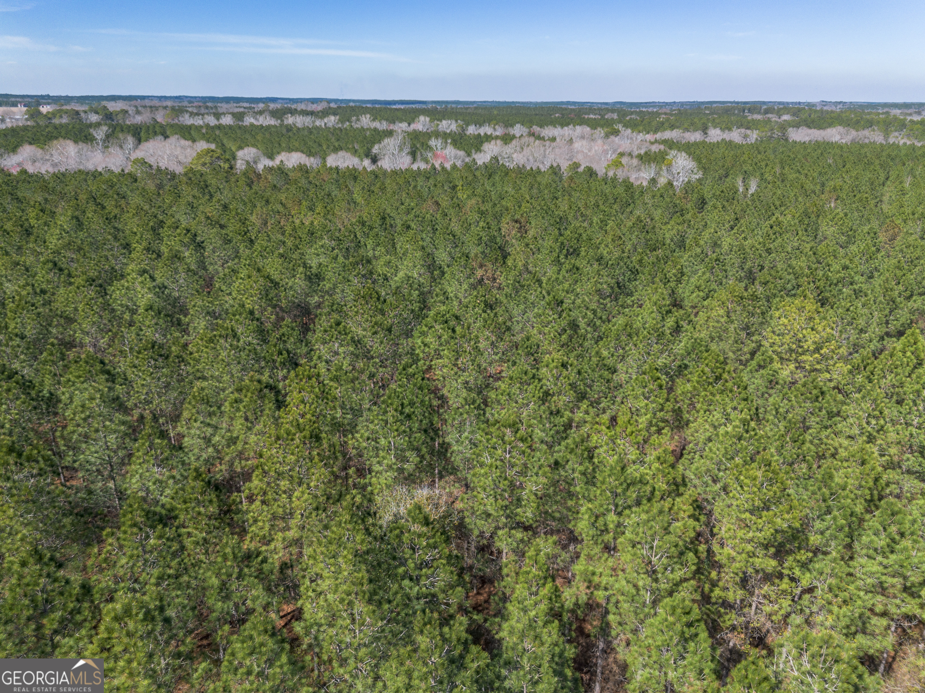 Lot 7 Golf Course Road Eastman GA 31023