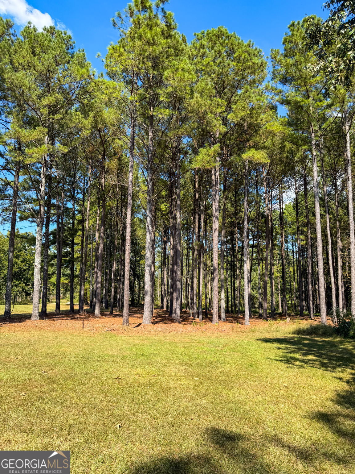 0 Adolphus Callaway Road Rayle GA 30660