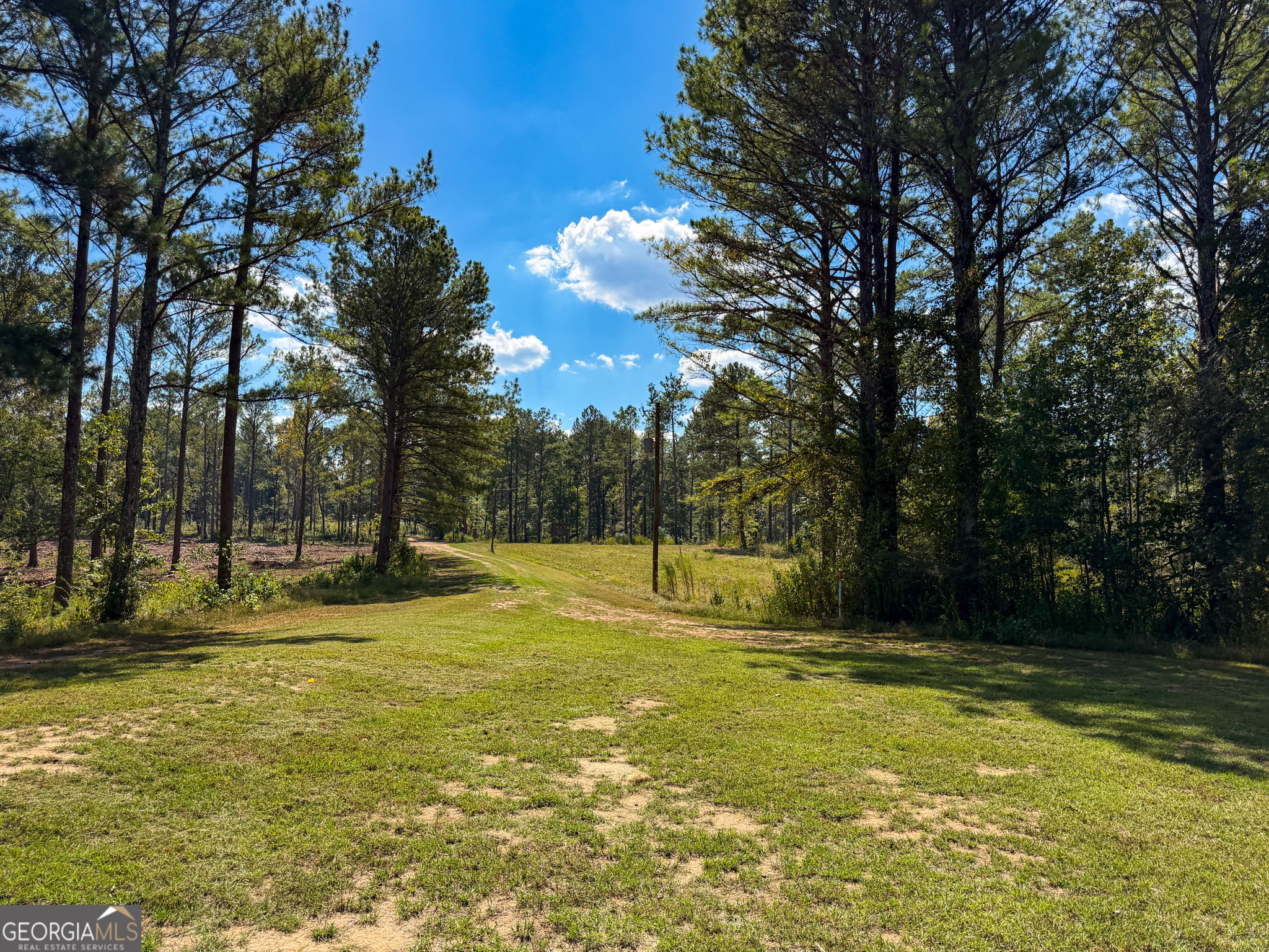 0 Adolphus Callaway Road Rayle GA 30660