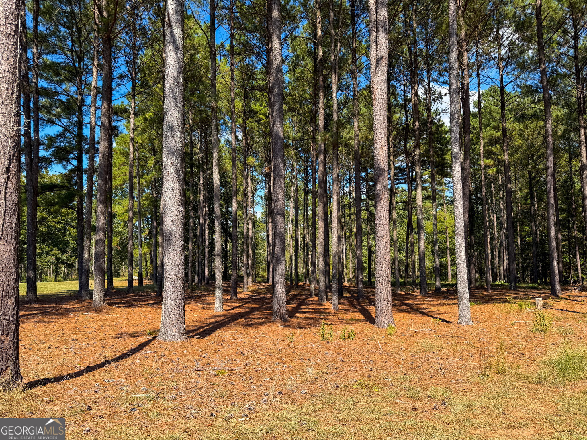 0 Adolphus Callaway Road Rayle GA 30660