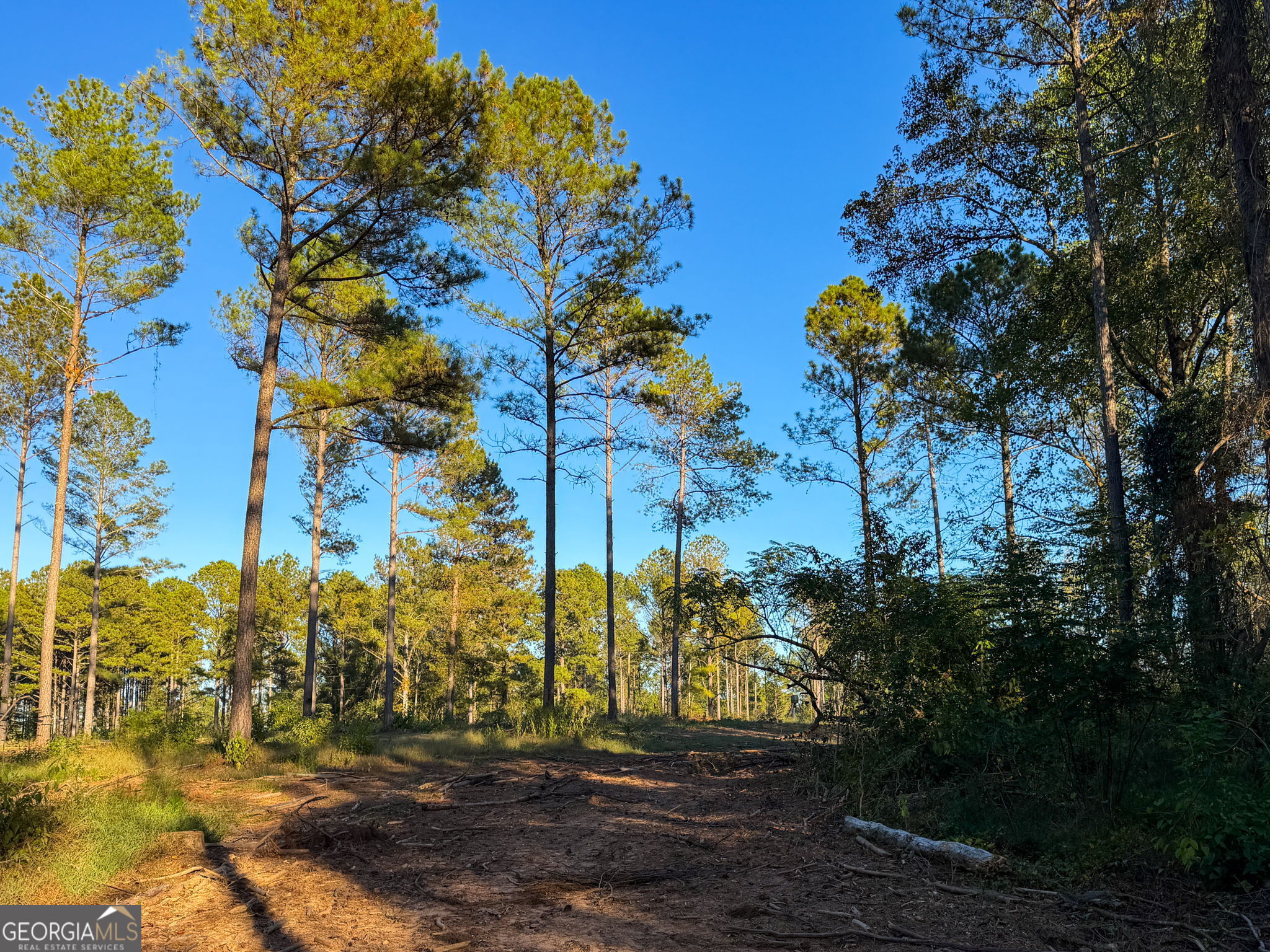 0 Adolphus Callaway Road Rayle GA 30660