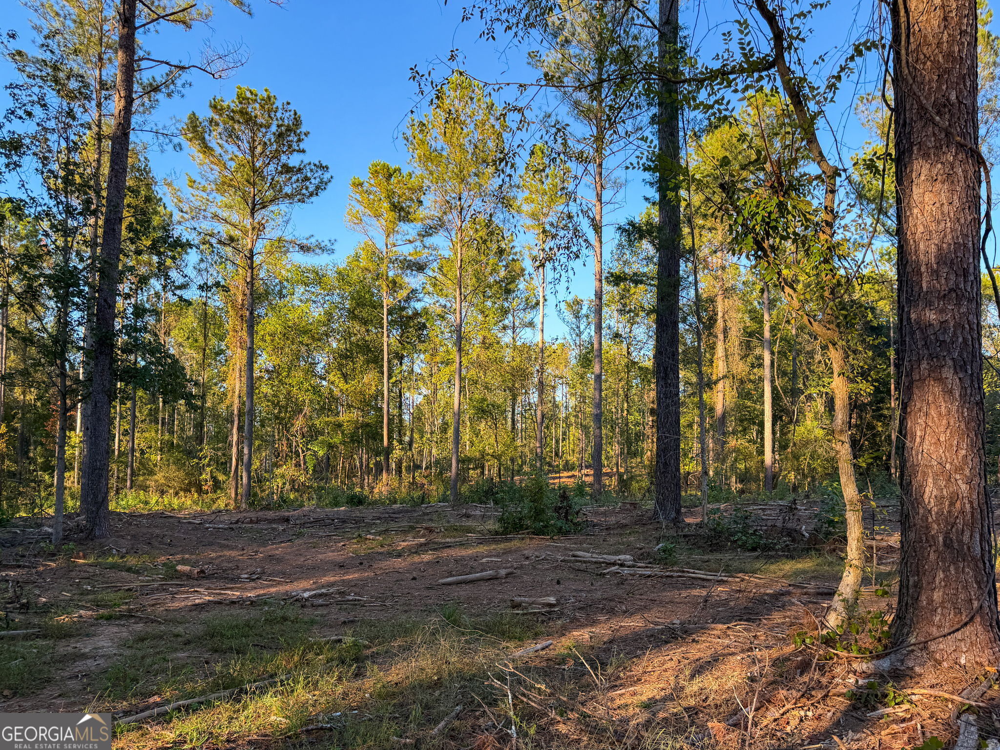 0 Adolphus Callaway Road Rayle GA 30660