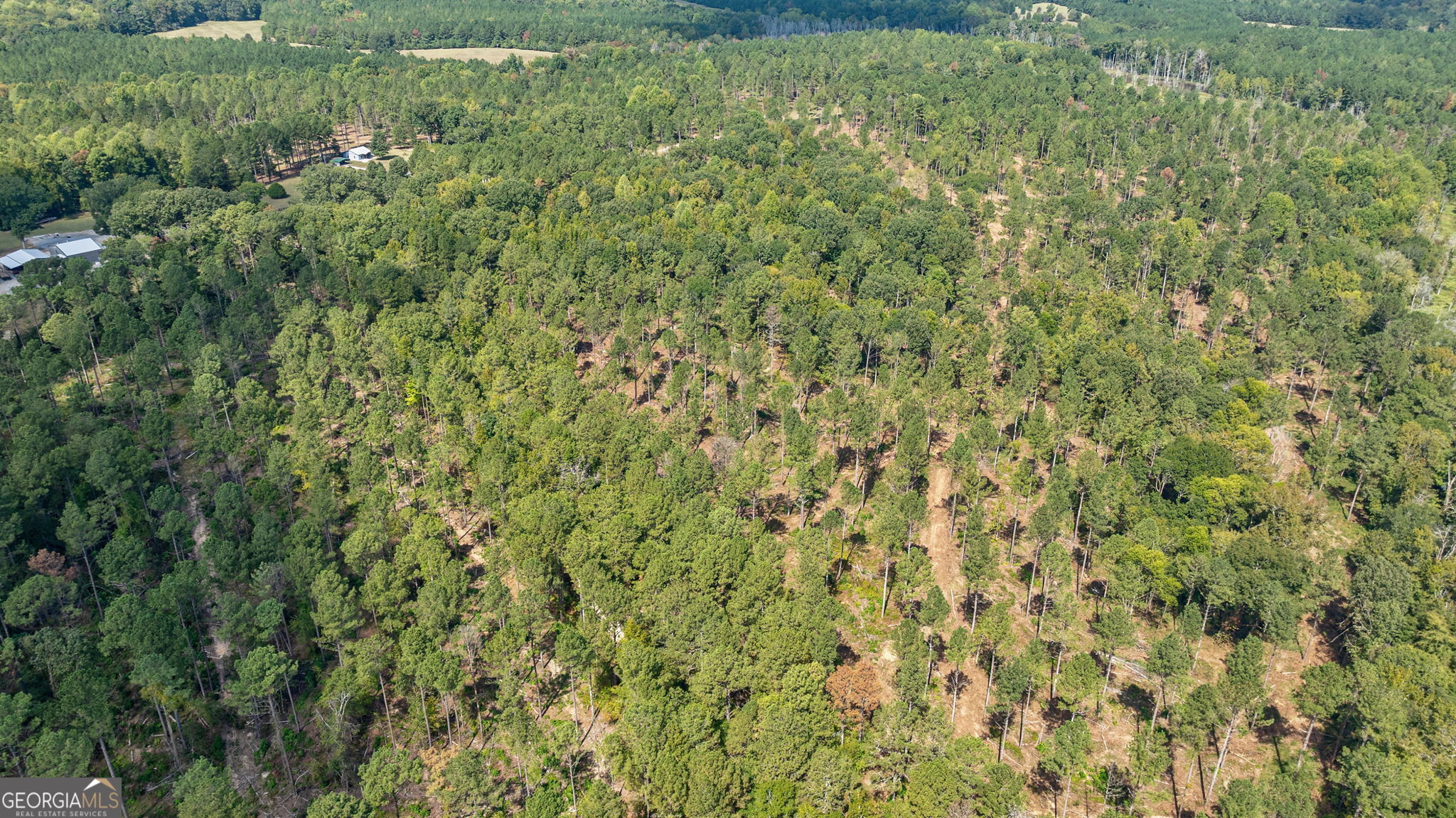 0 Adolphus Callaway Road Rayle GA 30660