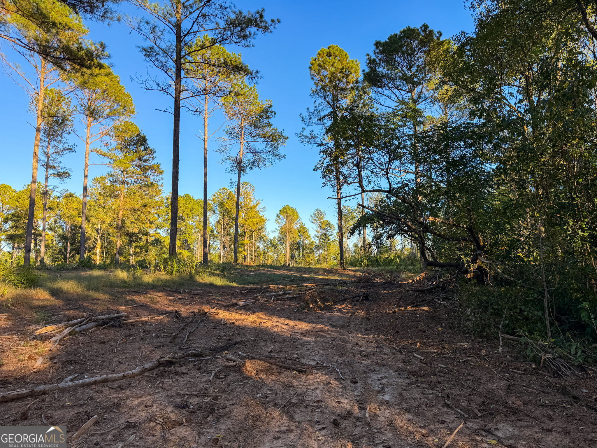 0 Adolphus Callaway Road Rayle GA 30660