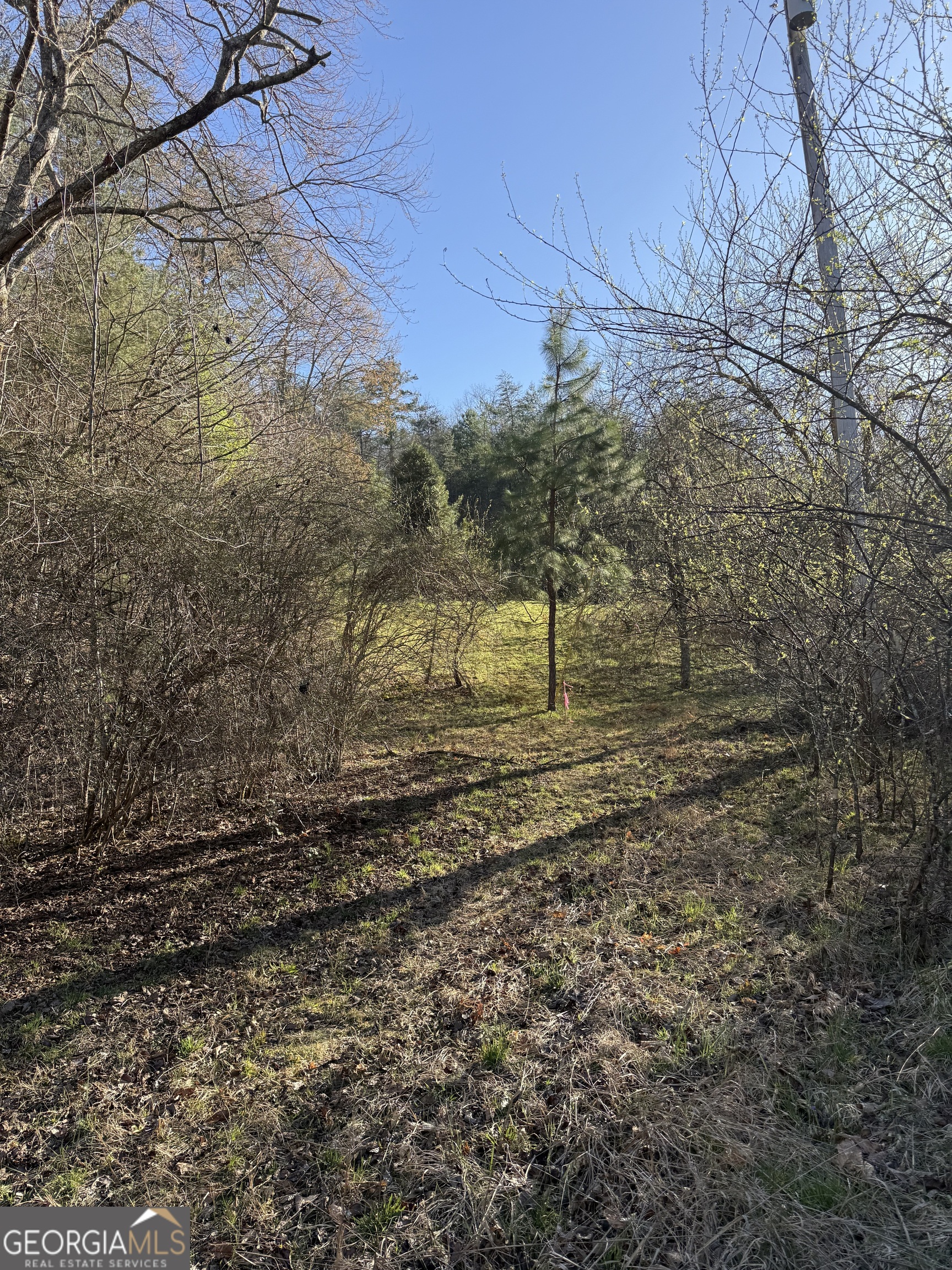 0 Blue Arrow Lane Mineral Bluff GA 30559