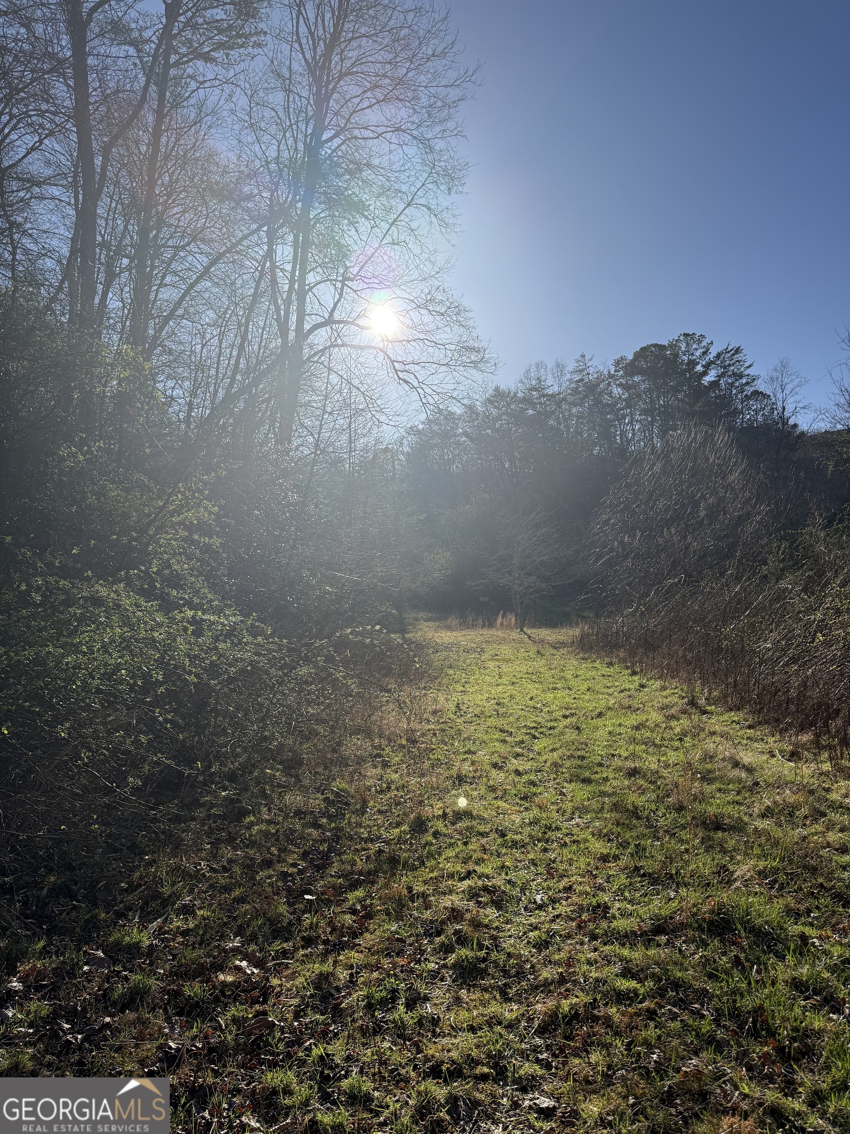 0 Blue Arrow Lane Mineral Bluff GA 30559