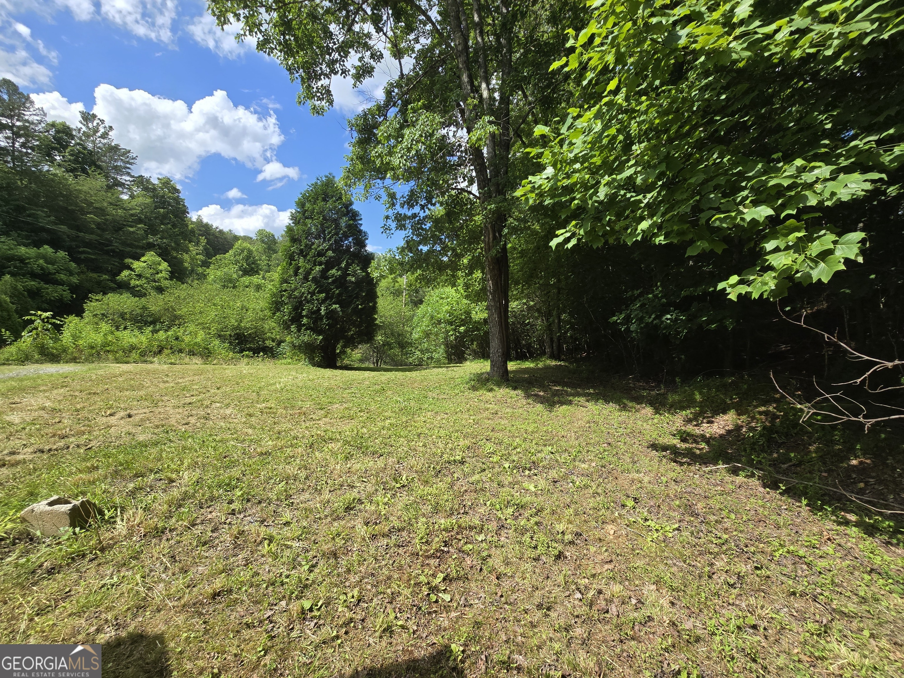 0 Blue Arrow Lane Mineral Bluff GA 30559