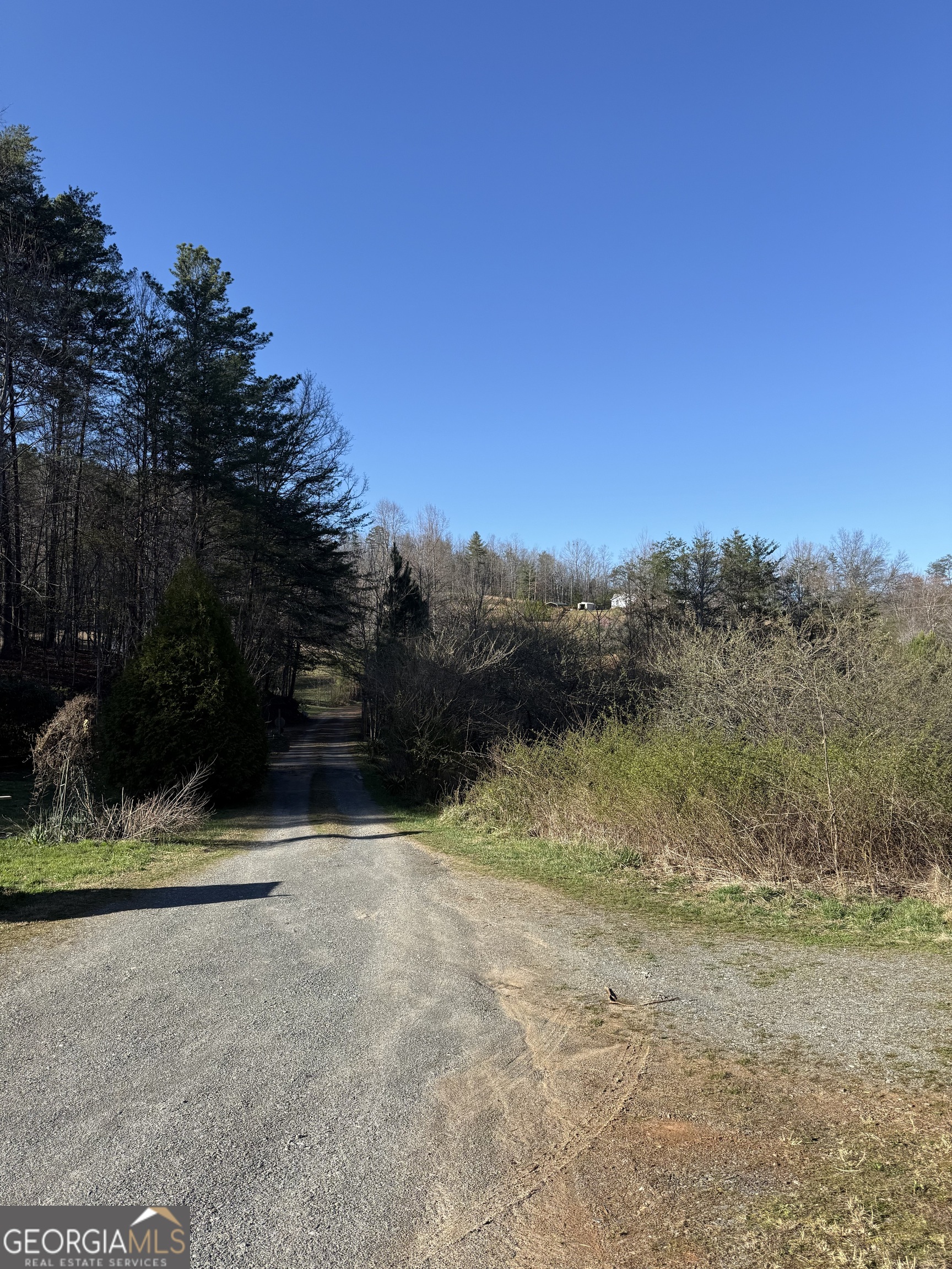 0 Blue Arrow Lane Mineral Bluff GA 30559