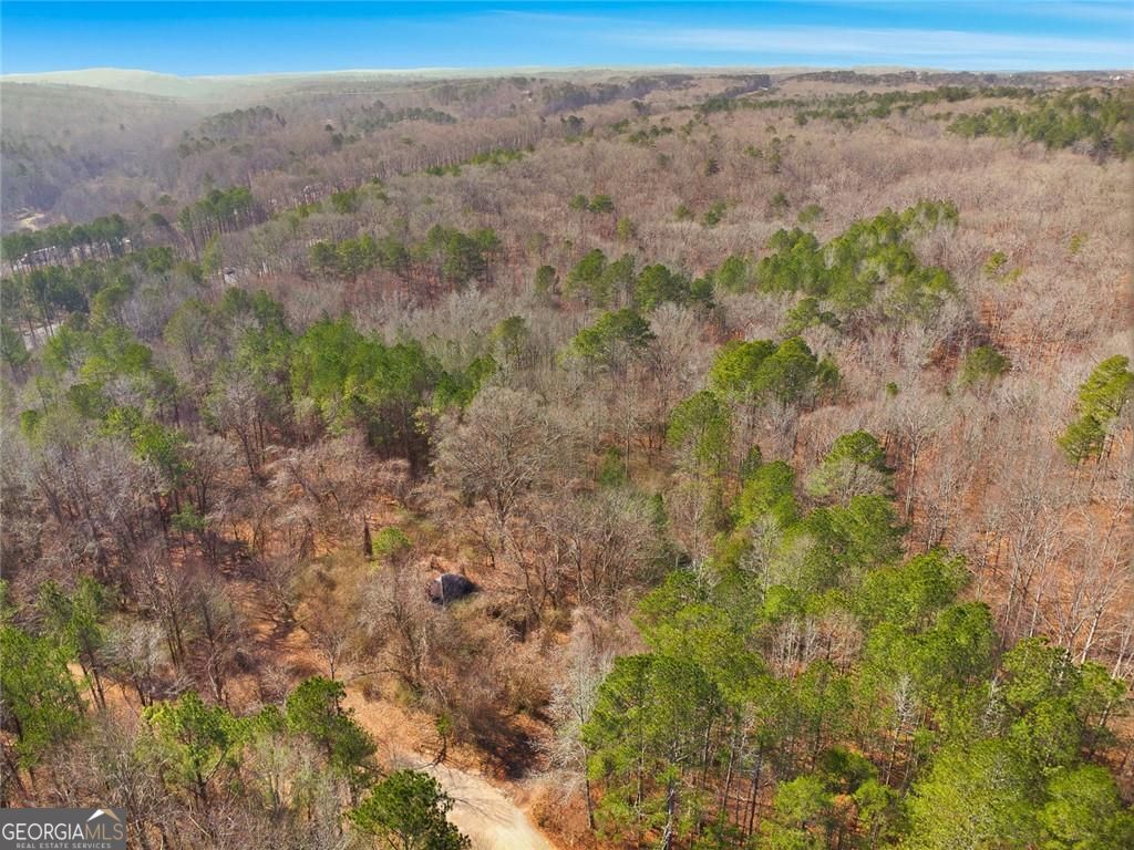 3013 N Mckoy Road Villa Rica GA 30180