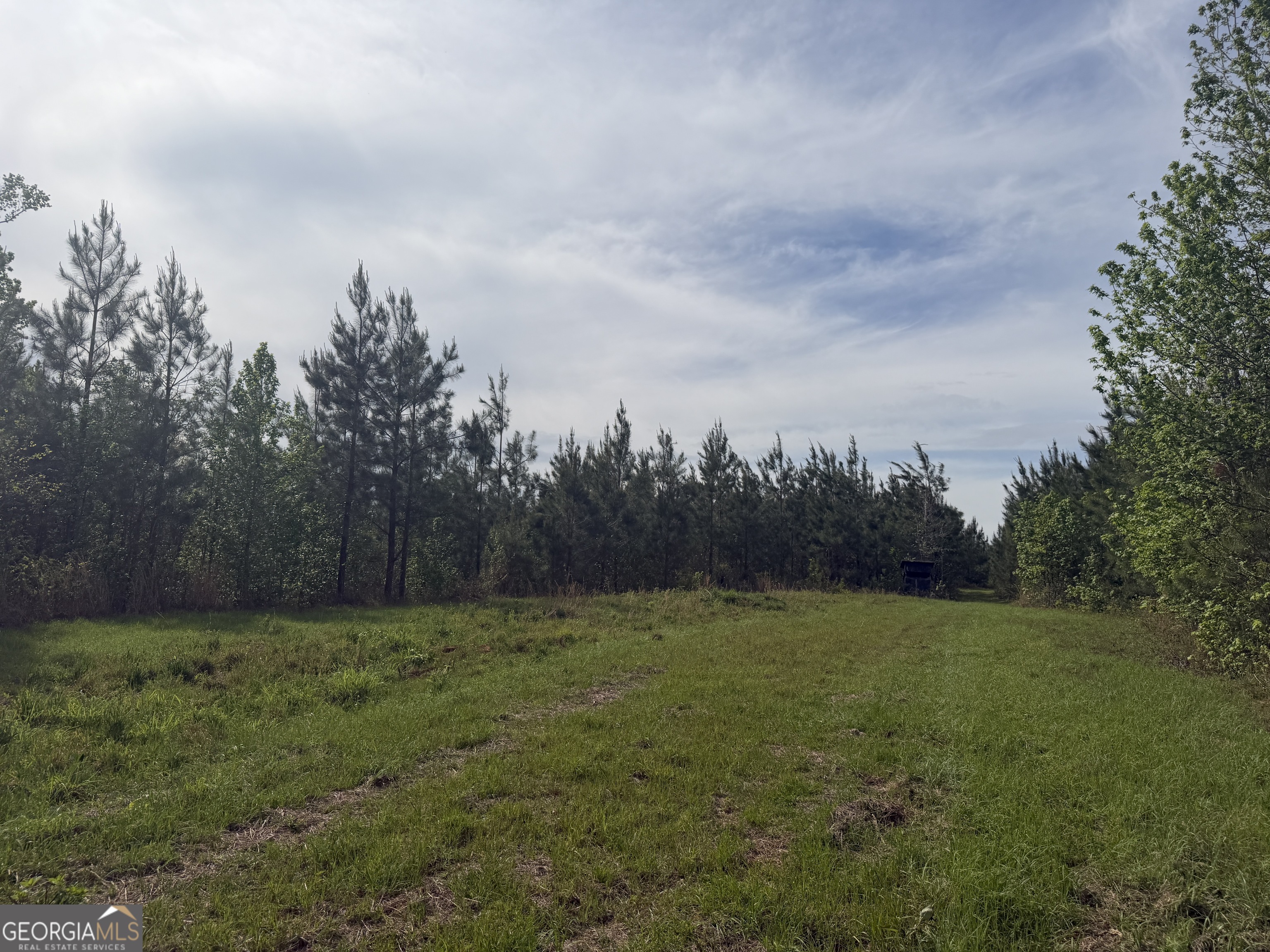 04 George Milling Road Cuthbert GA 39840