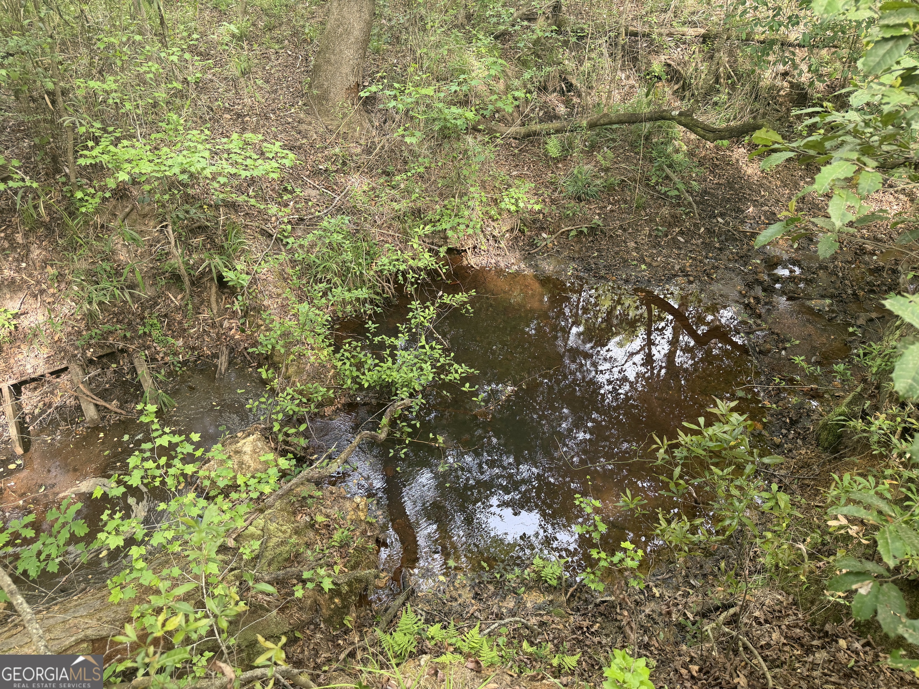04 George Milling Road Cuthbert GA 39840