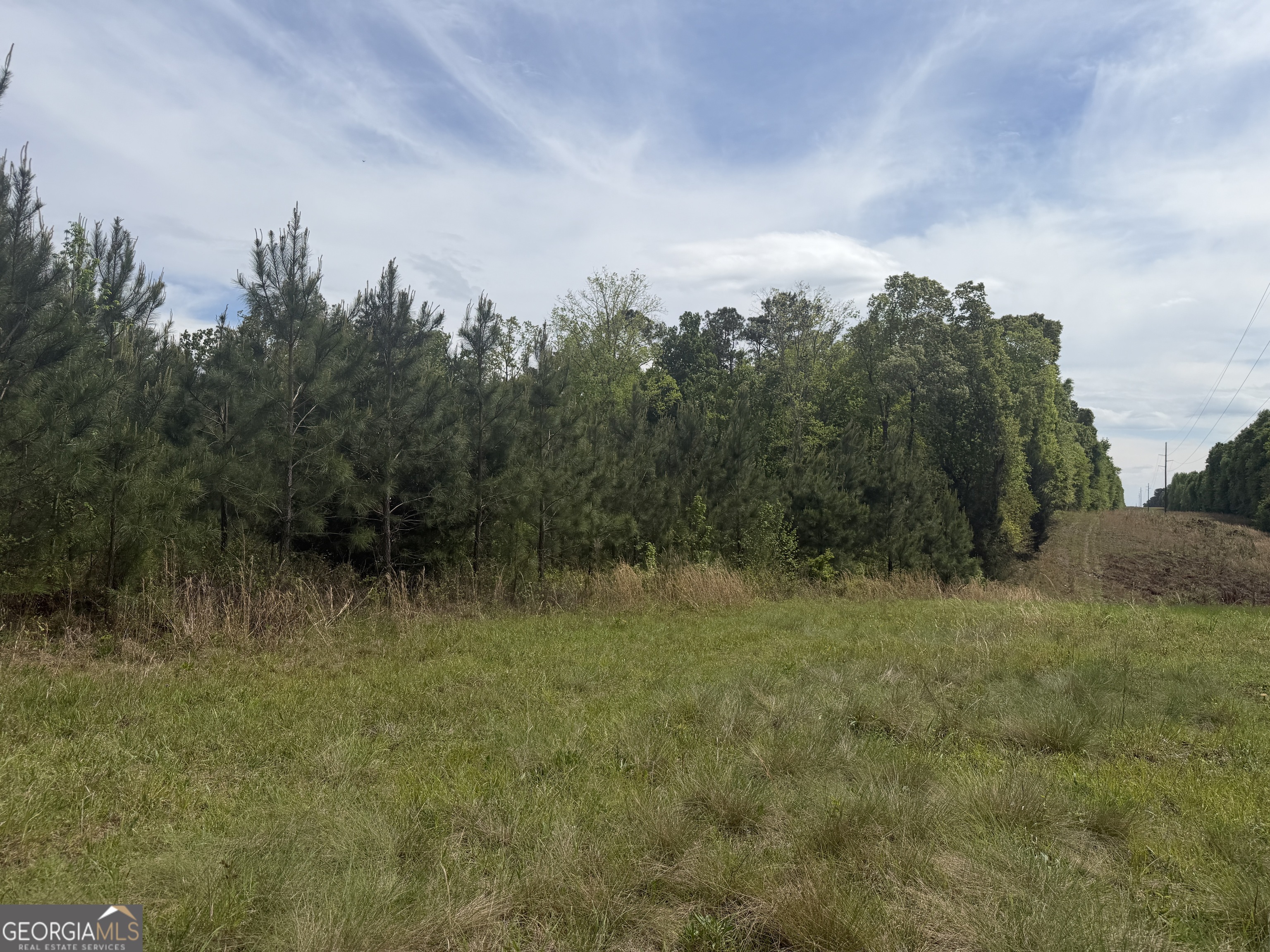 04 George Milling Road Cuthbert GA 39840