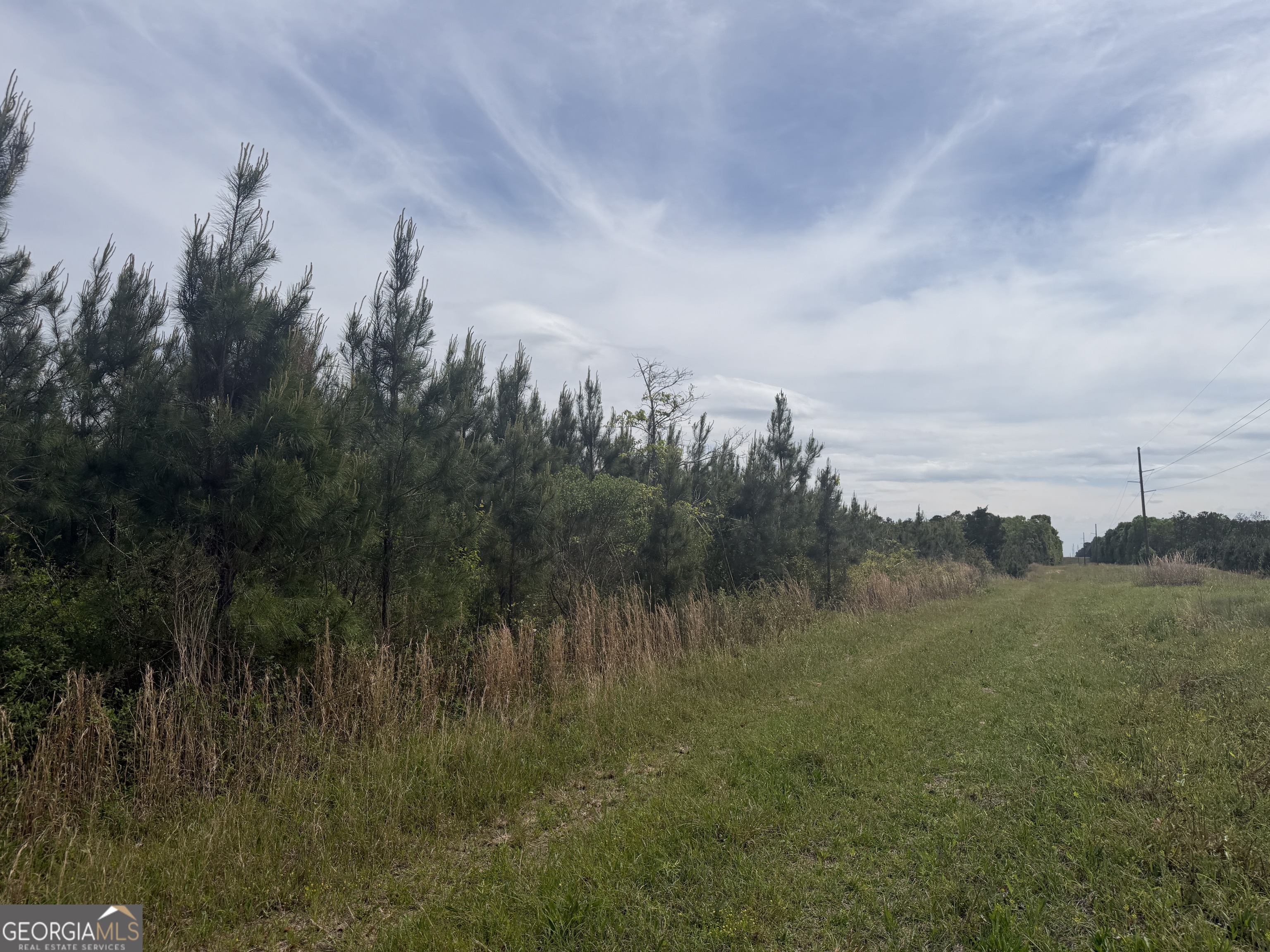 04 George Milling Road Cuthbert GA 39840