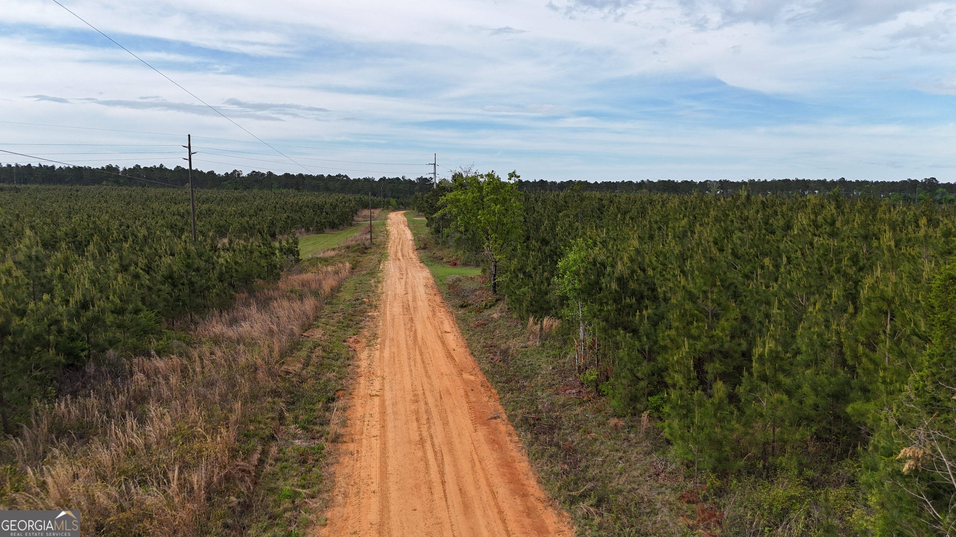 04 George Milling Road Cuthbert GA 39840