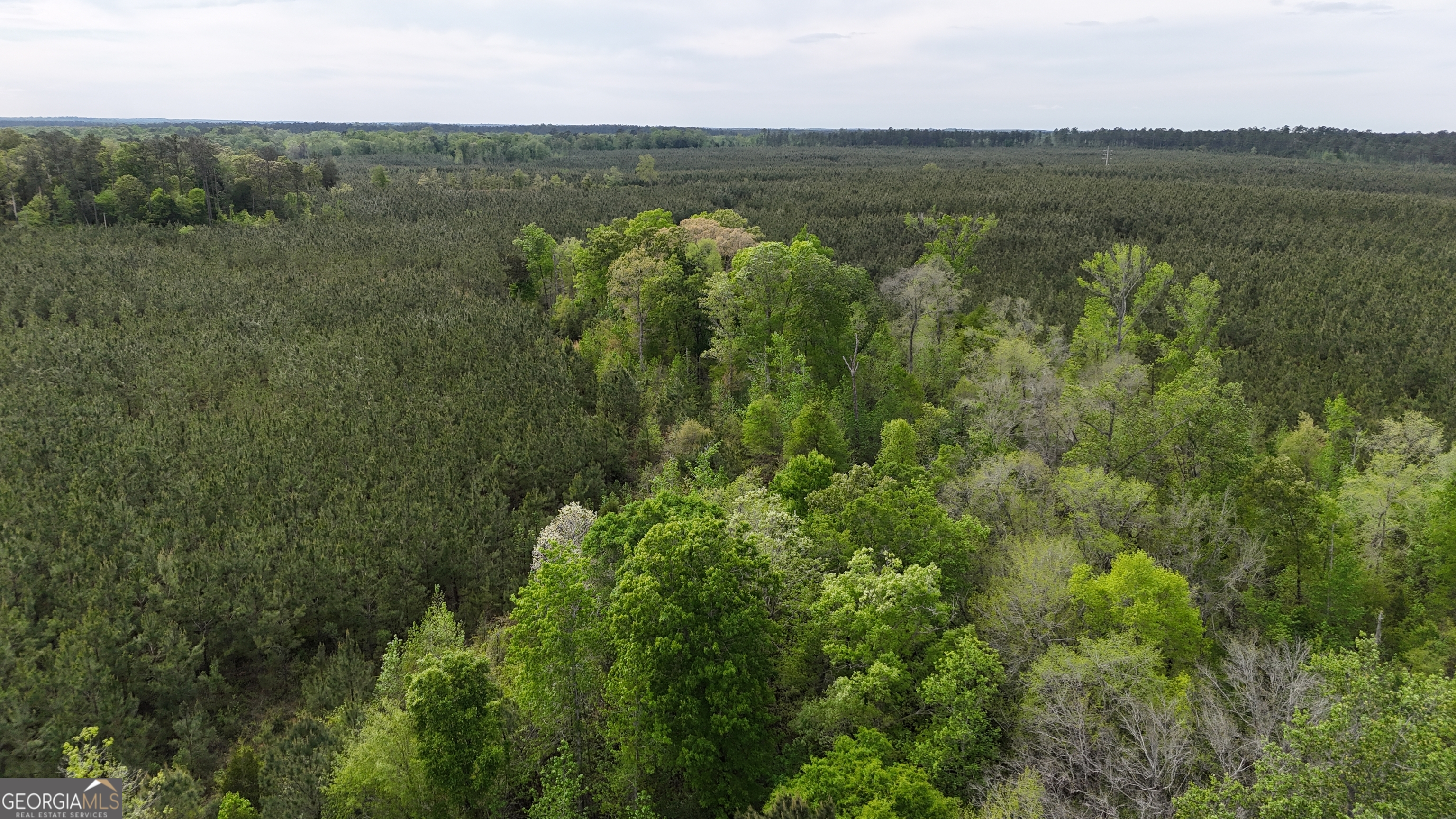 04 George Milling Road Cuthbert GA 39840