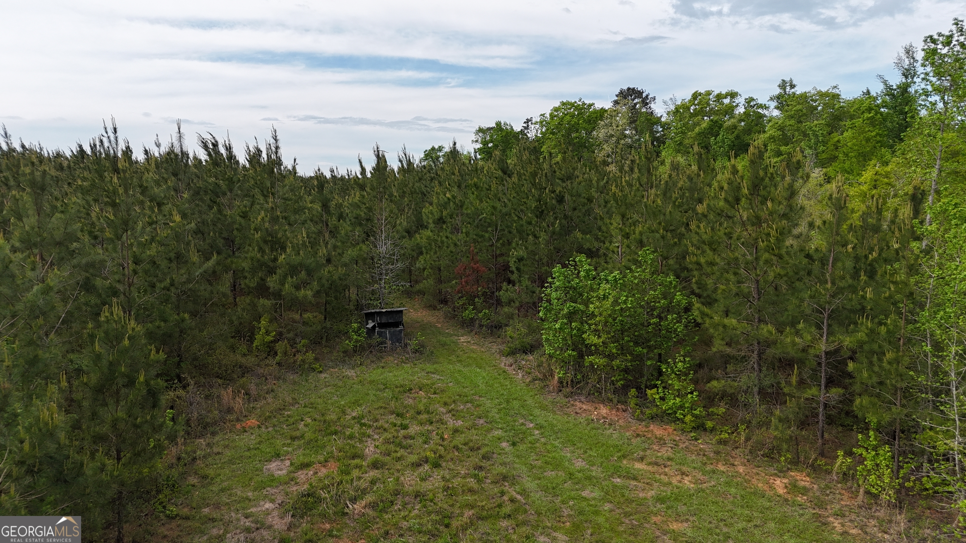 04 George Milling Road Cuthbert GA 39840