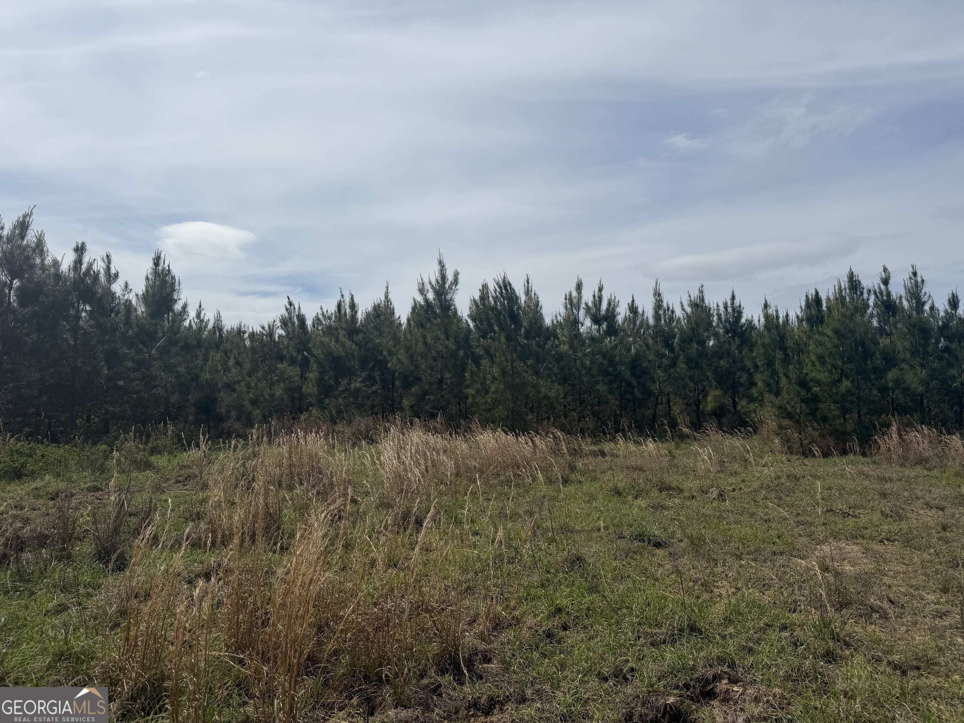 04 George Milling Road Cuthbert GA 39840