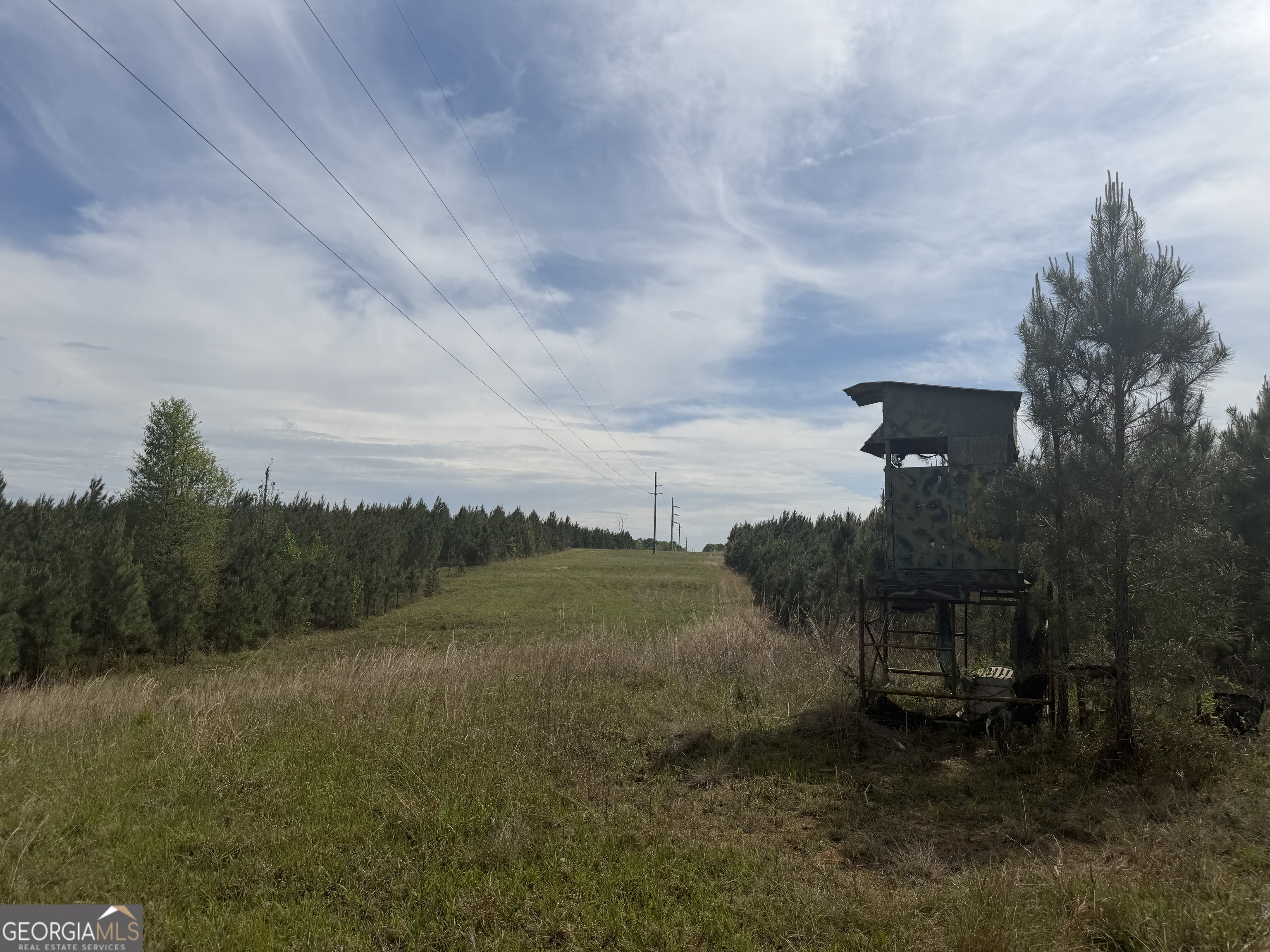 04 George Milling Road Cuthbert GA 39840