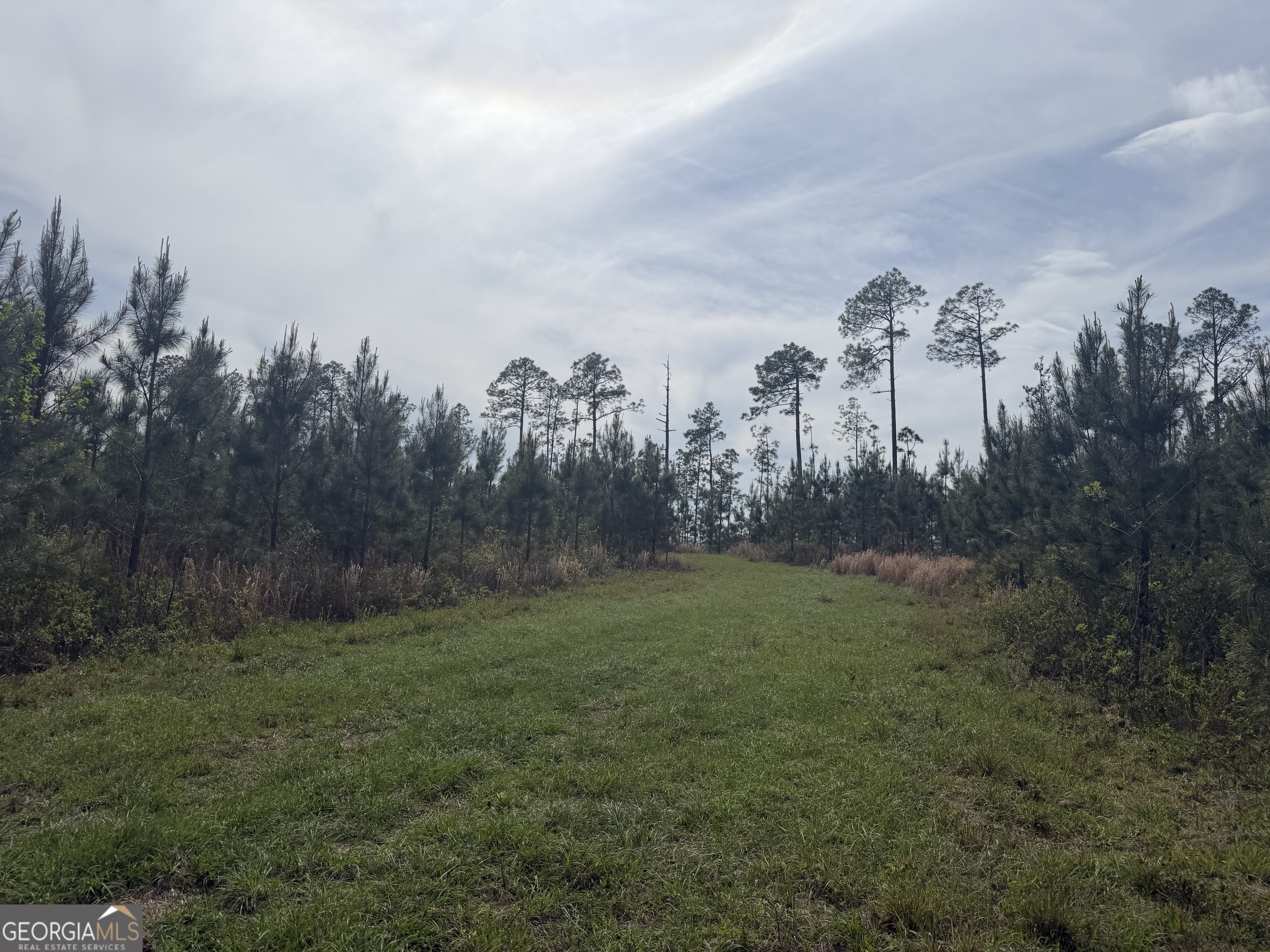 04 George Milling Road Cuthbert GA 39840