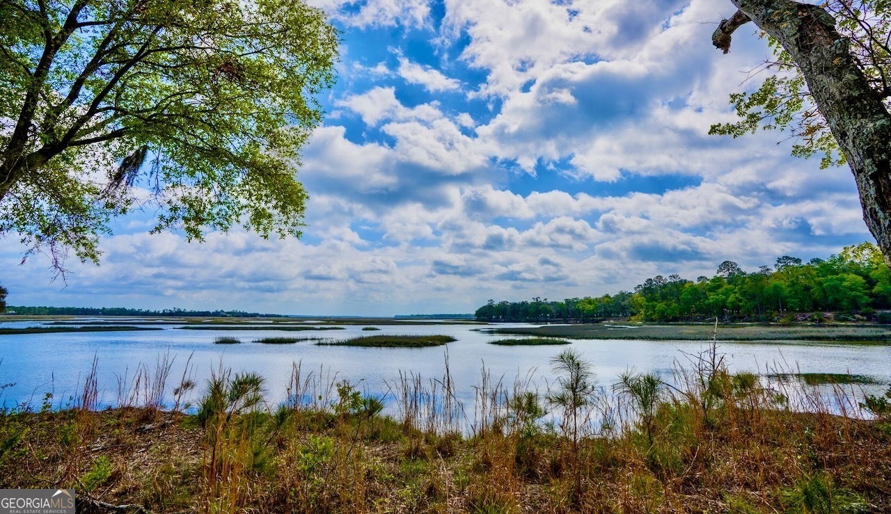 0 Simons Bluff Road Woodbine GA 31569