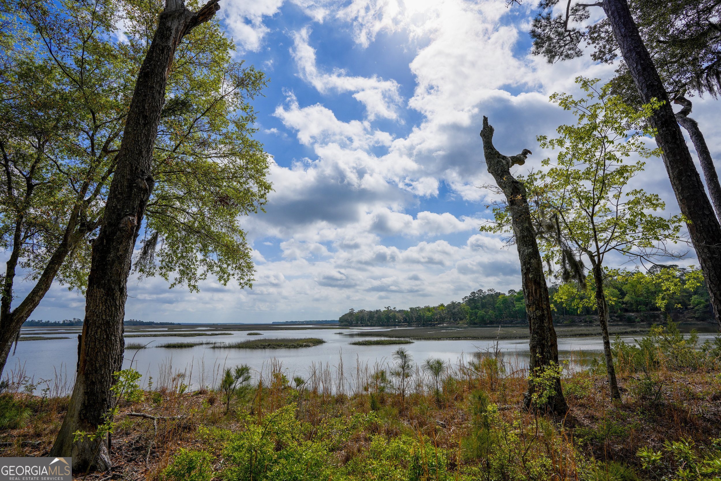 0 Simons Bluff Road Woodbine GA 31569