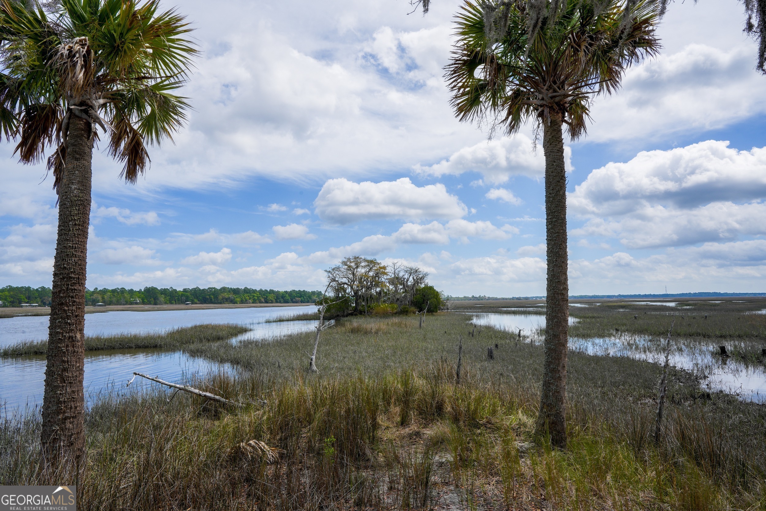 0 Simons Bluff Road Woodbine GA 31569