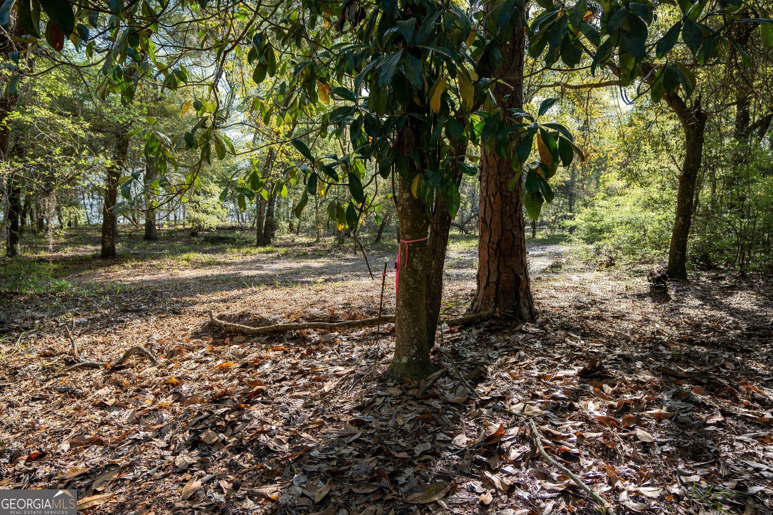 0 Simons Bluff Road Woodbine GA 31569