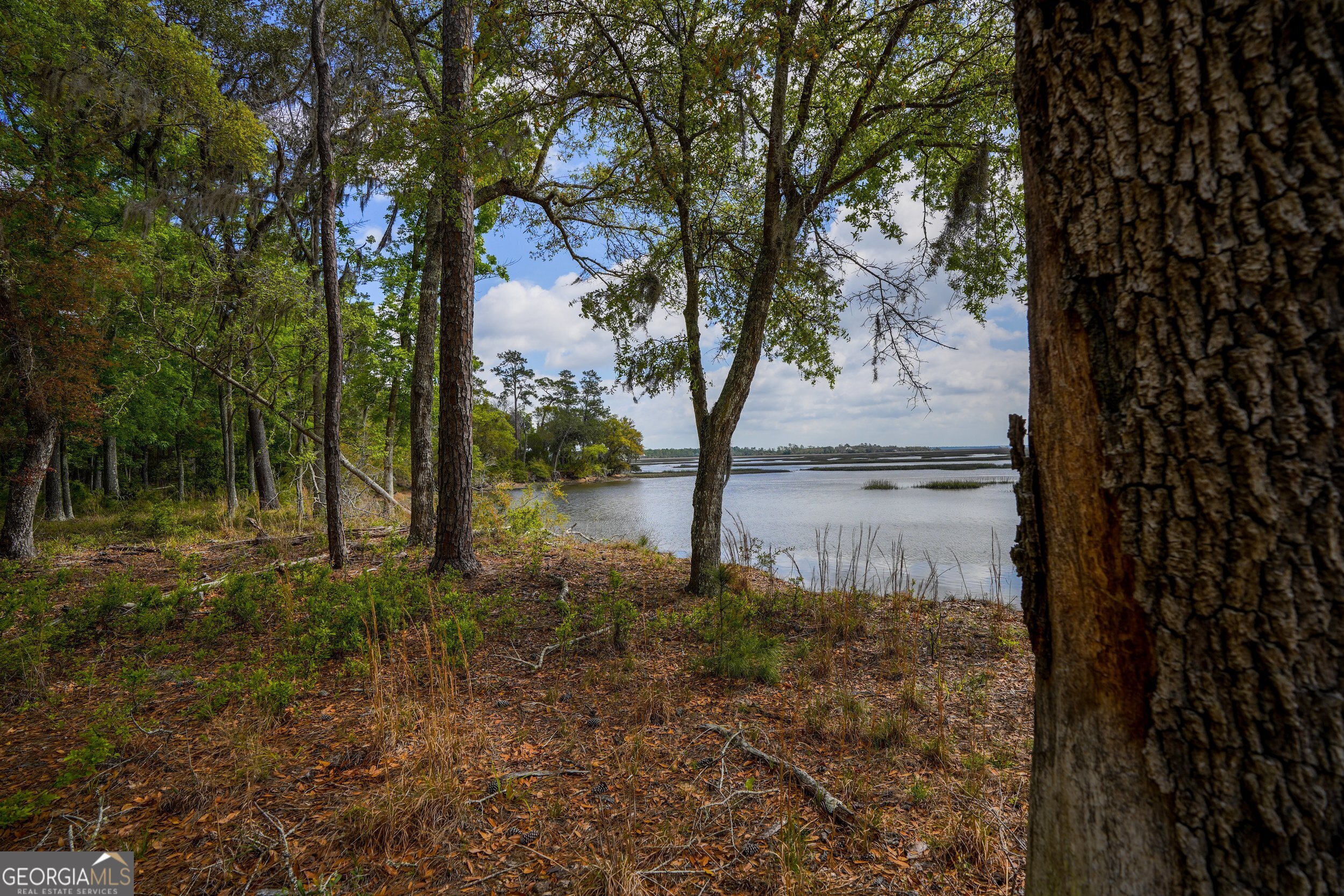 0 Simons Bluff Road Woodbine GA 31569