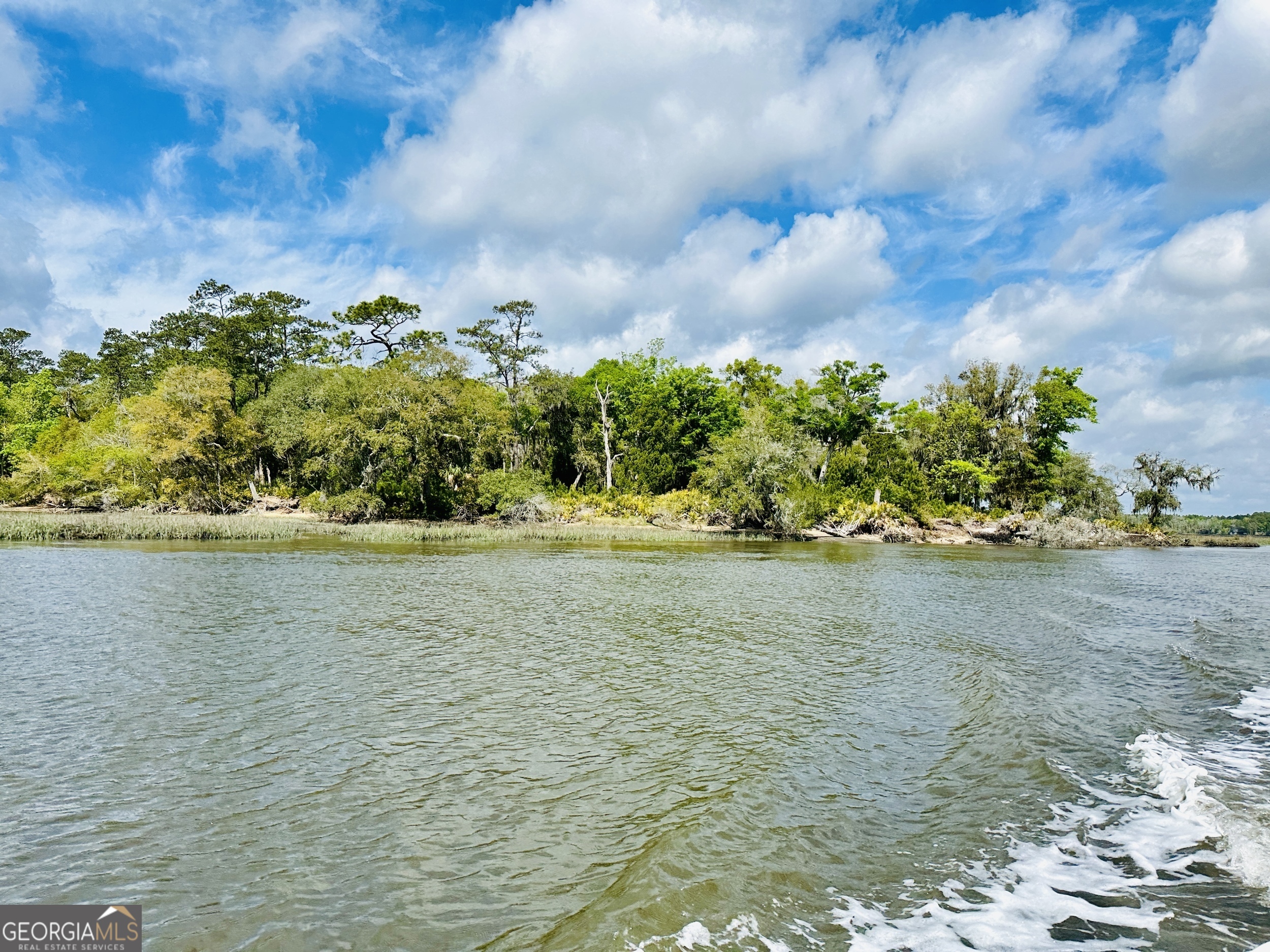 0 Simons Bluff Road Woodbine GA 31569