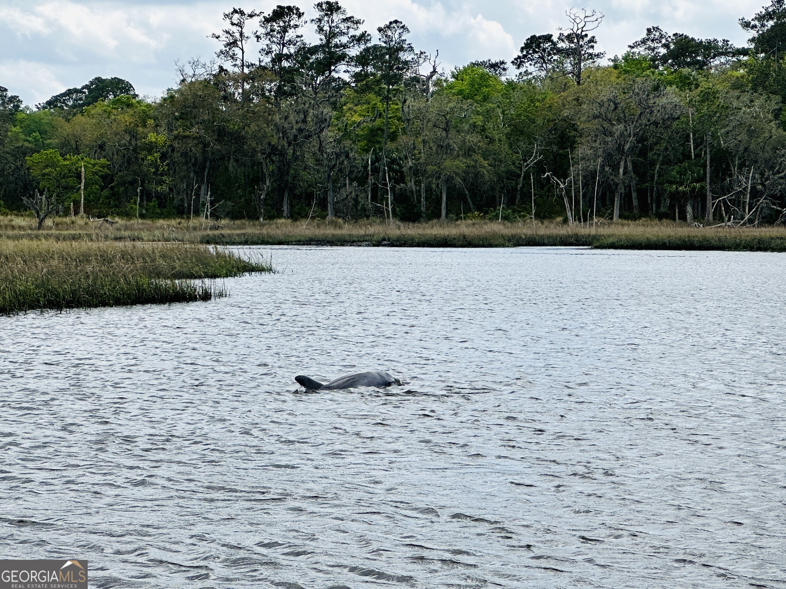 0 Simons Bluff Road Woodbine GA 31569