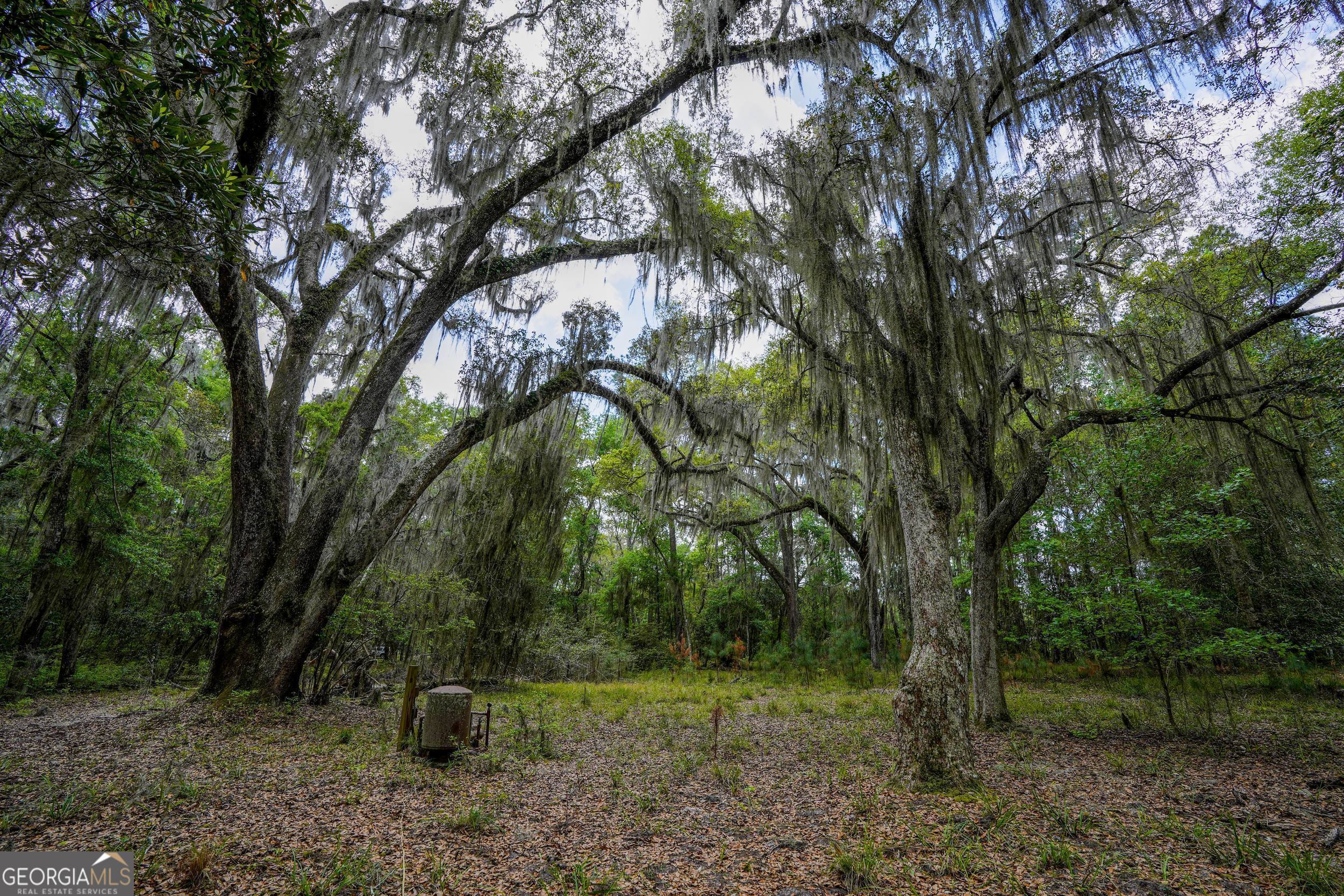 0 Simons Bluff Road Woodbine GA 31569