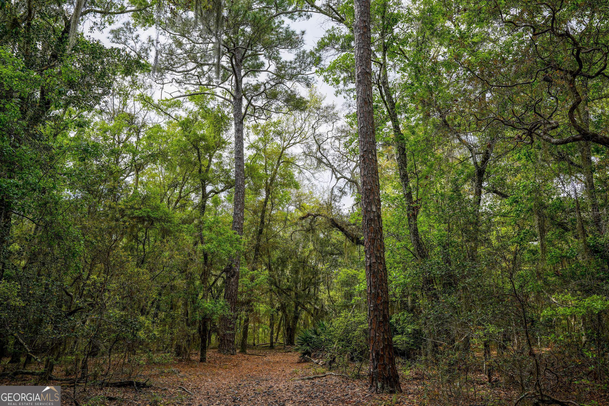 0 Simons Bluff Road Woodbine GA 31569