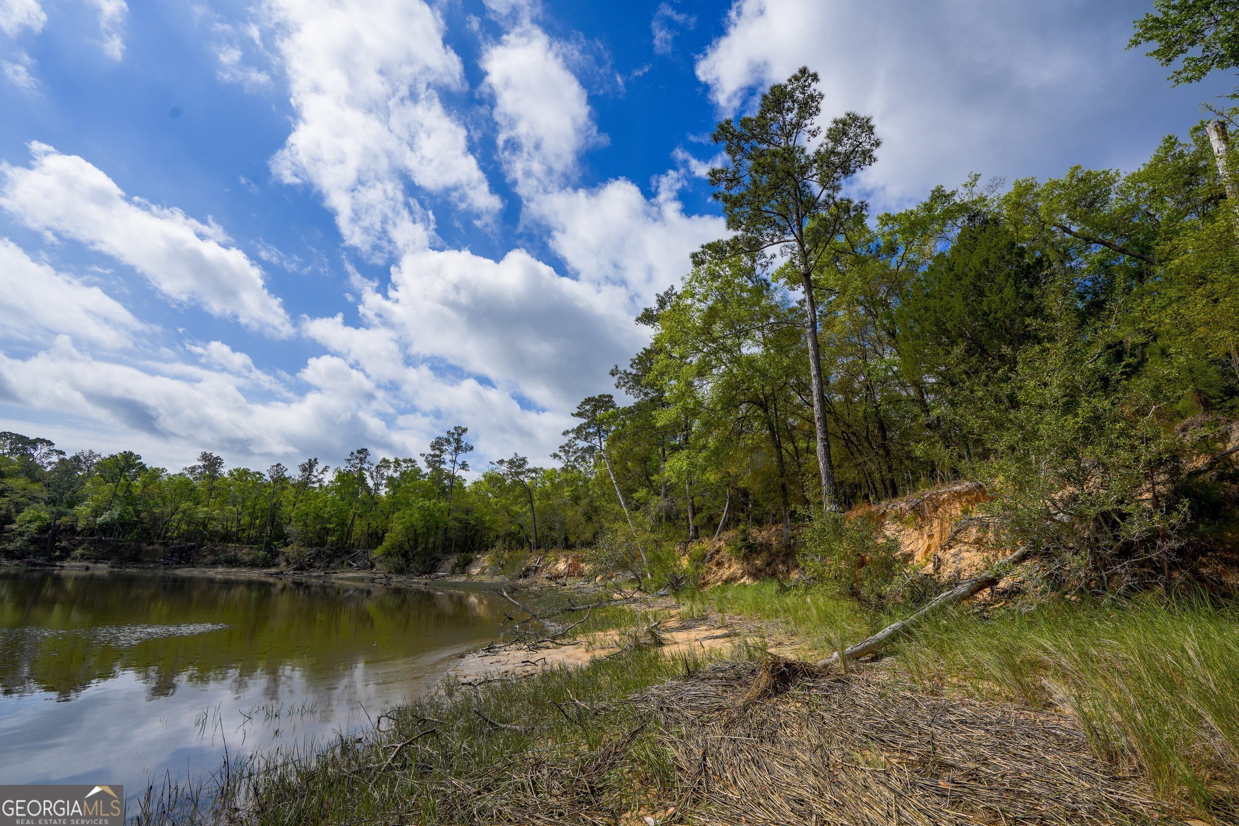 0 Simons Bluff Road Woodbine GA 31569