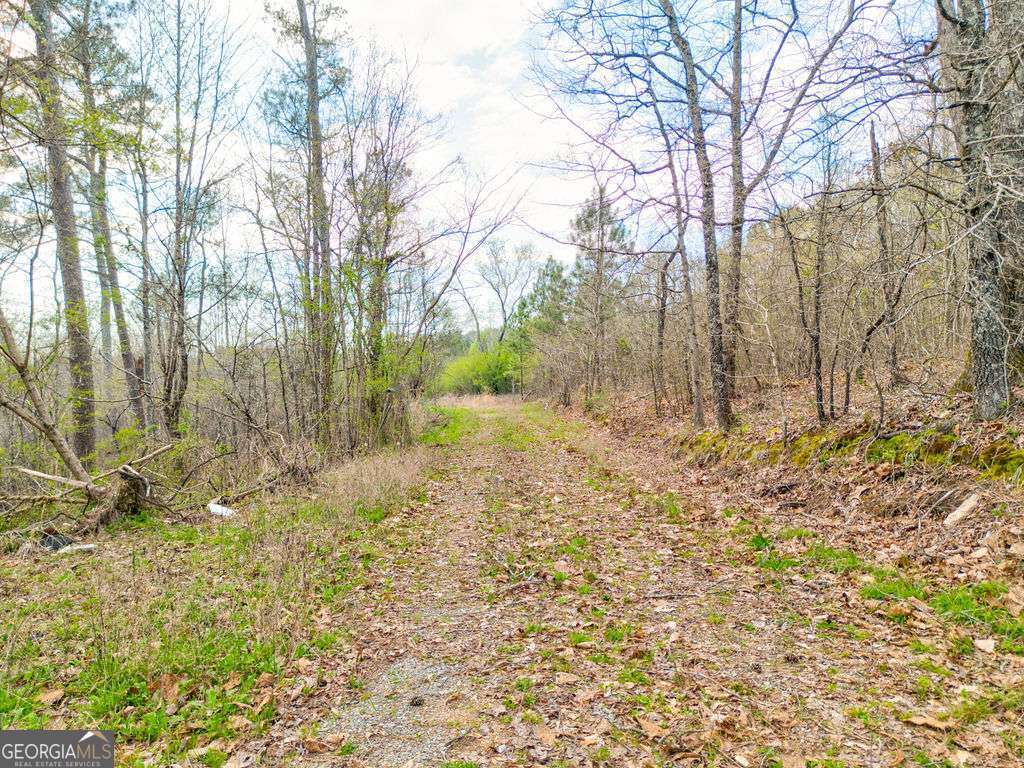 0 Moran Lake Road Rome GA 30161