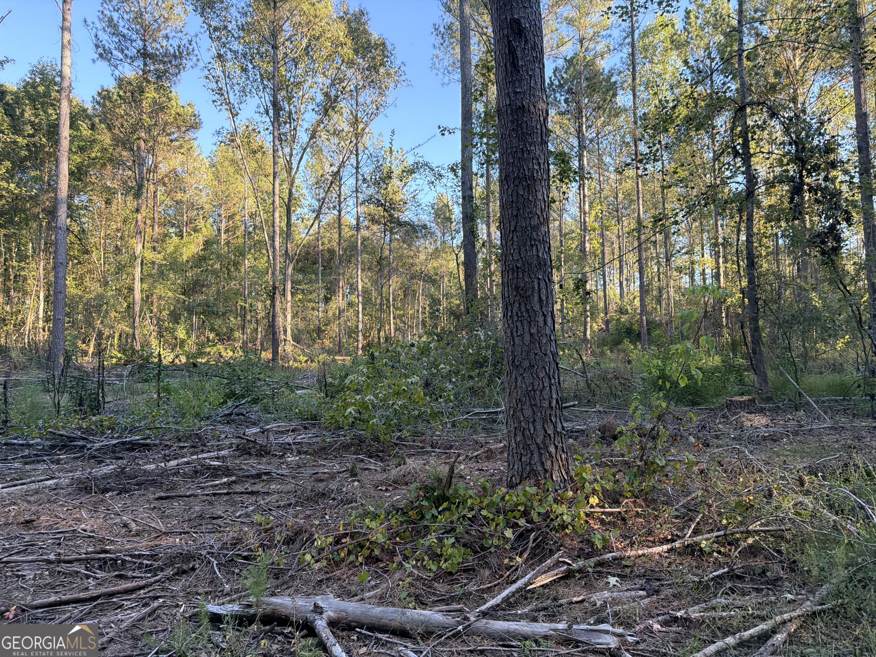 0 Adolphus Callaway Road Rayle GA 30660