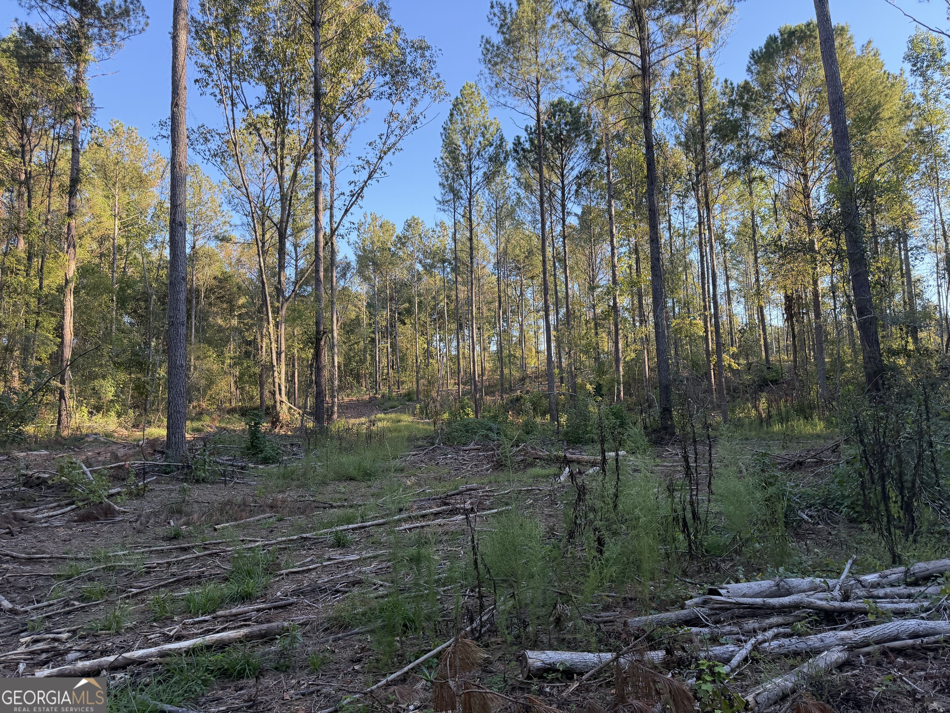 0 Adolphus Callaway Road Rayle GA 30660